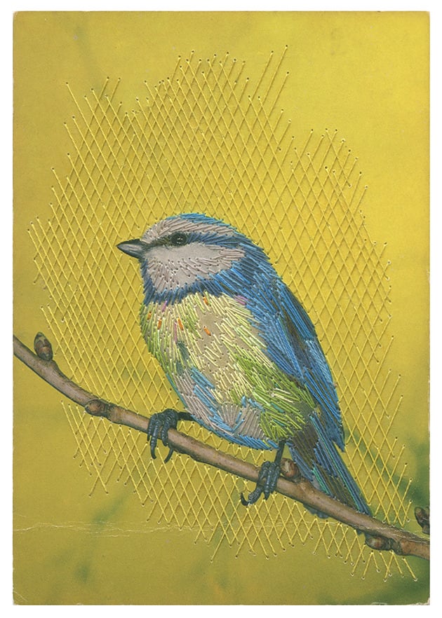 Julie Cockburn, Pimpelmees, 2024