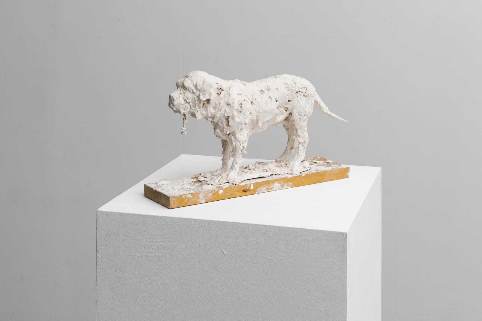 Nicola Hicks, Plato 1, 2019