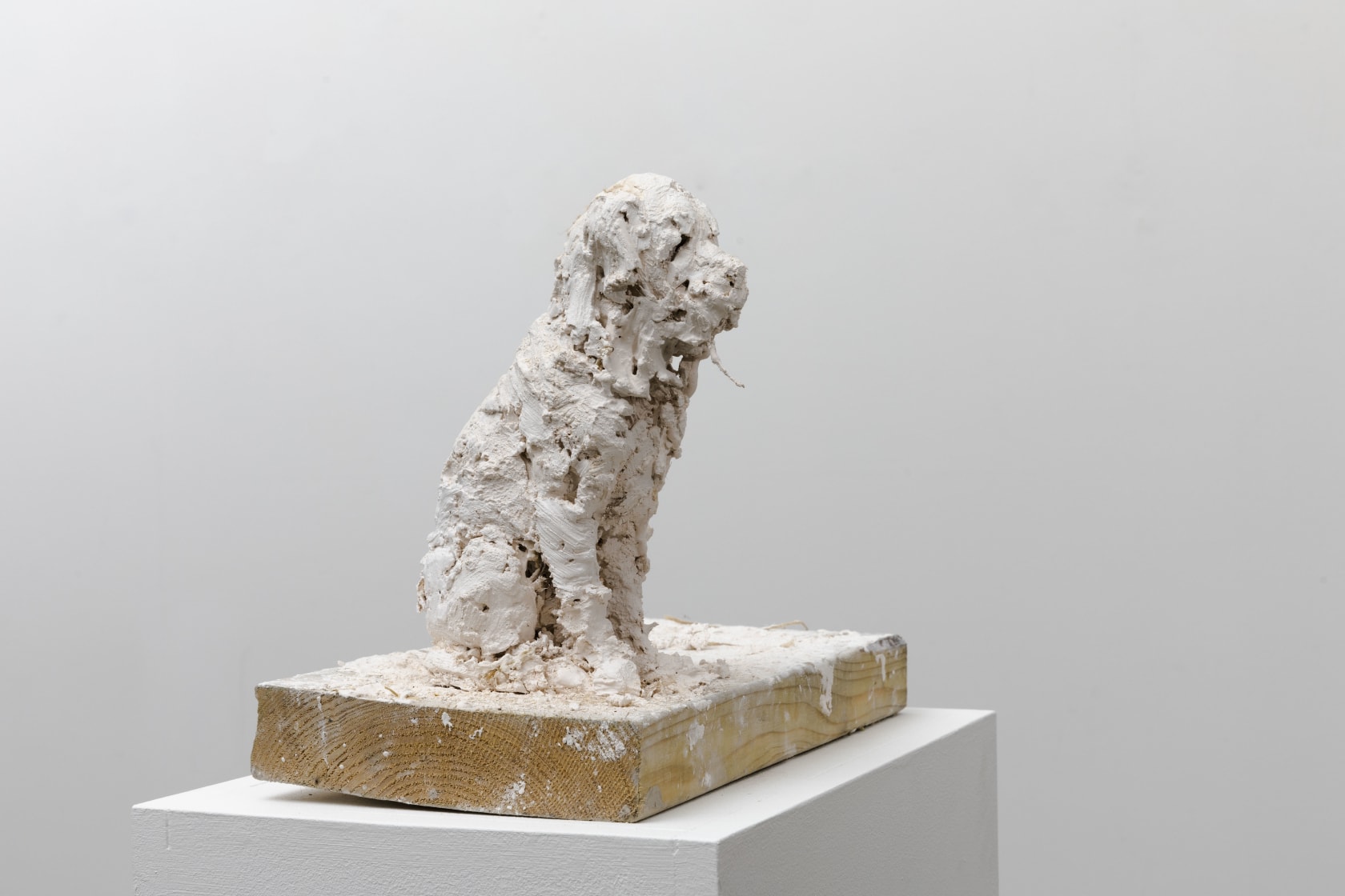 Nicola Hicks, Plato 2, 2019