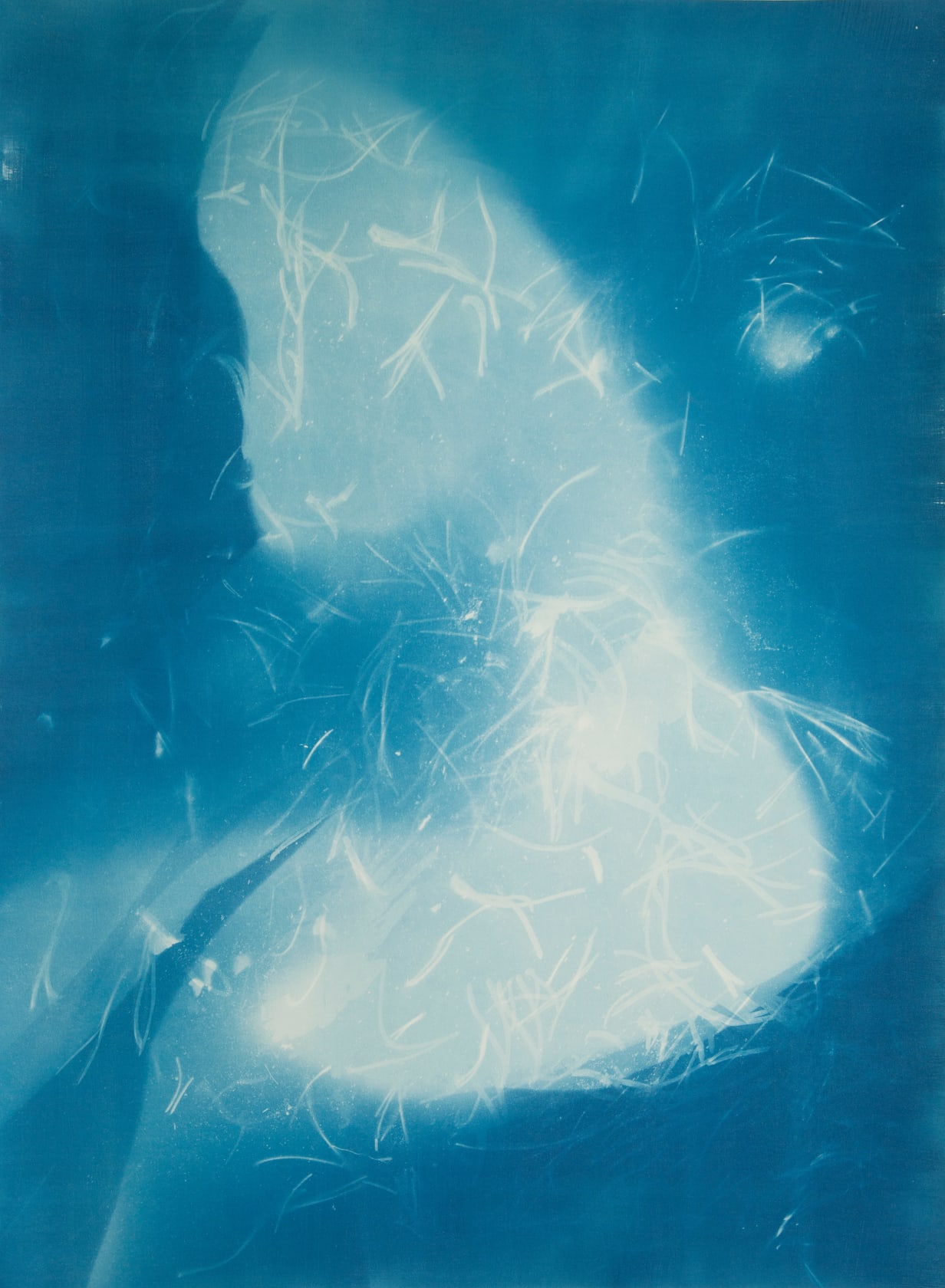 Janelle Lynch Metamorphosis III, 2022