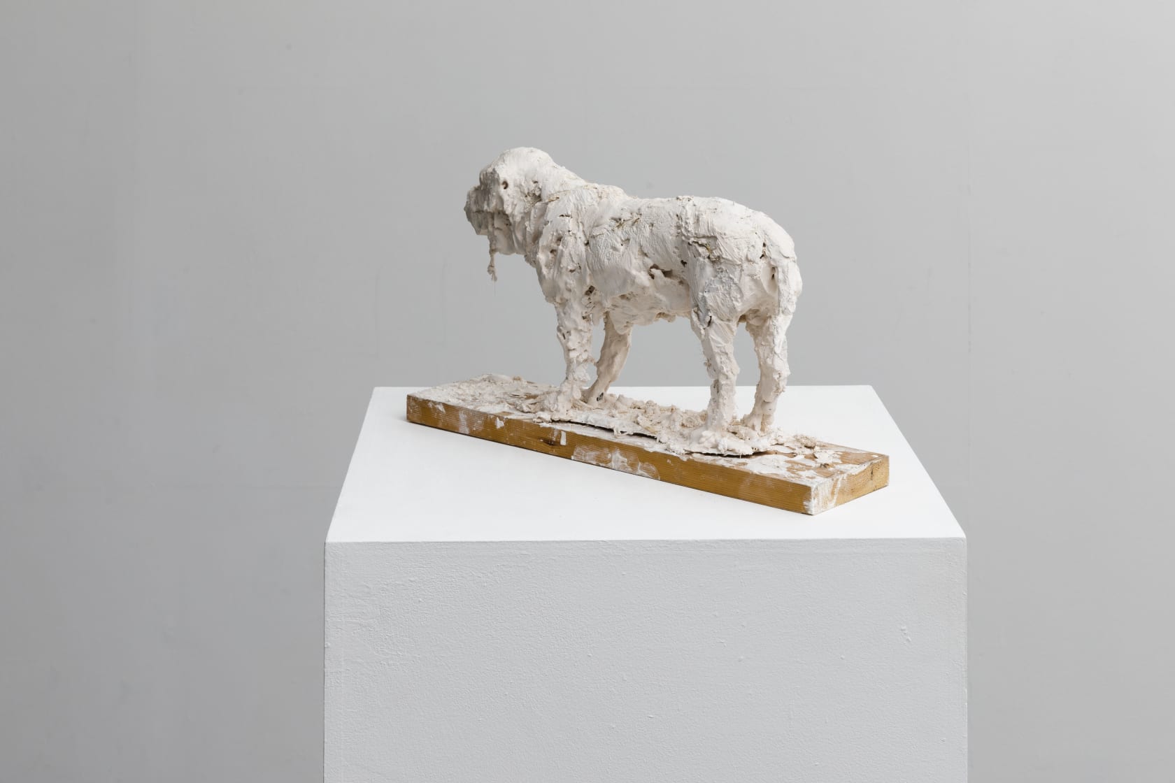 Nicola Hicks, Plato 1, 2019