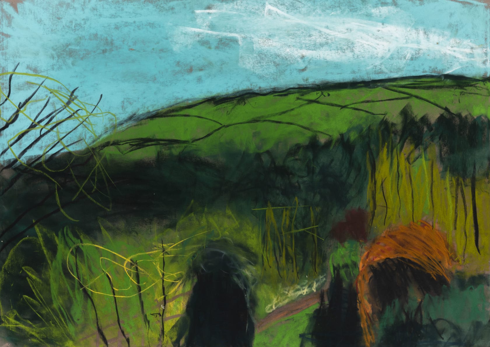 Lucy Jones View From My Front Door