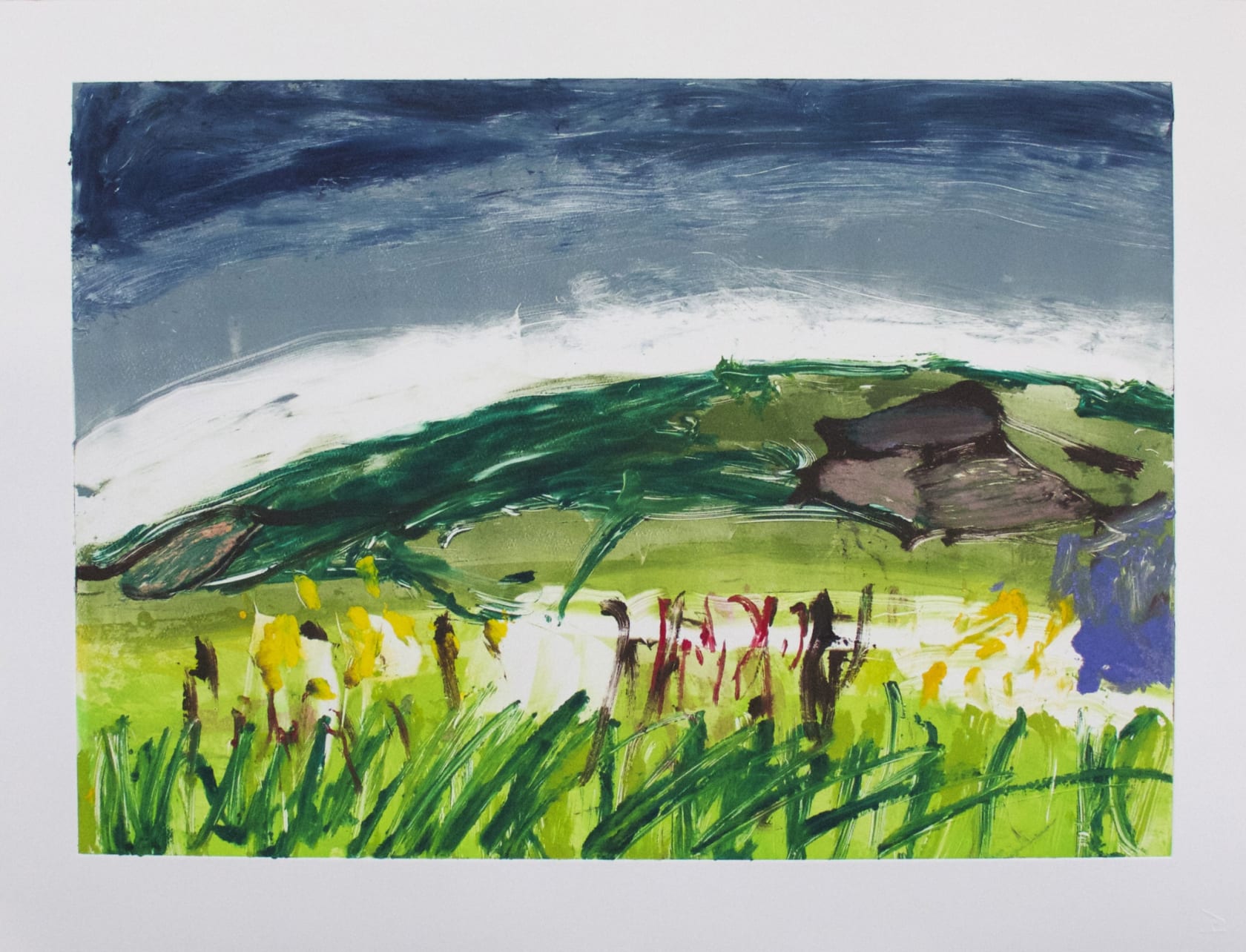 Lucy Jones Dark Skies, 2014