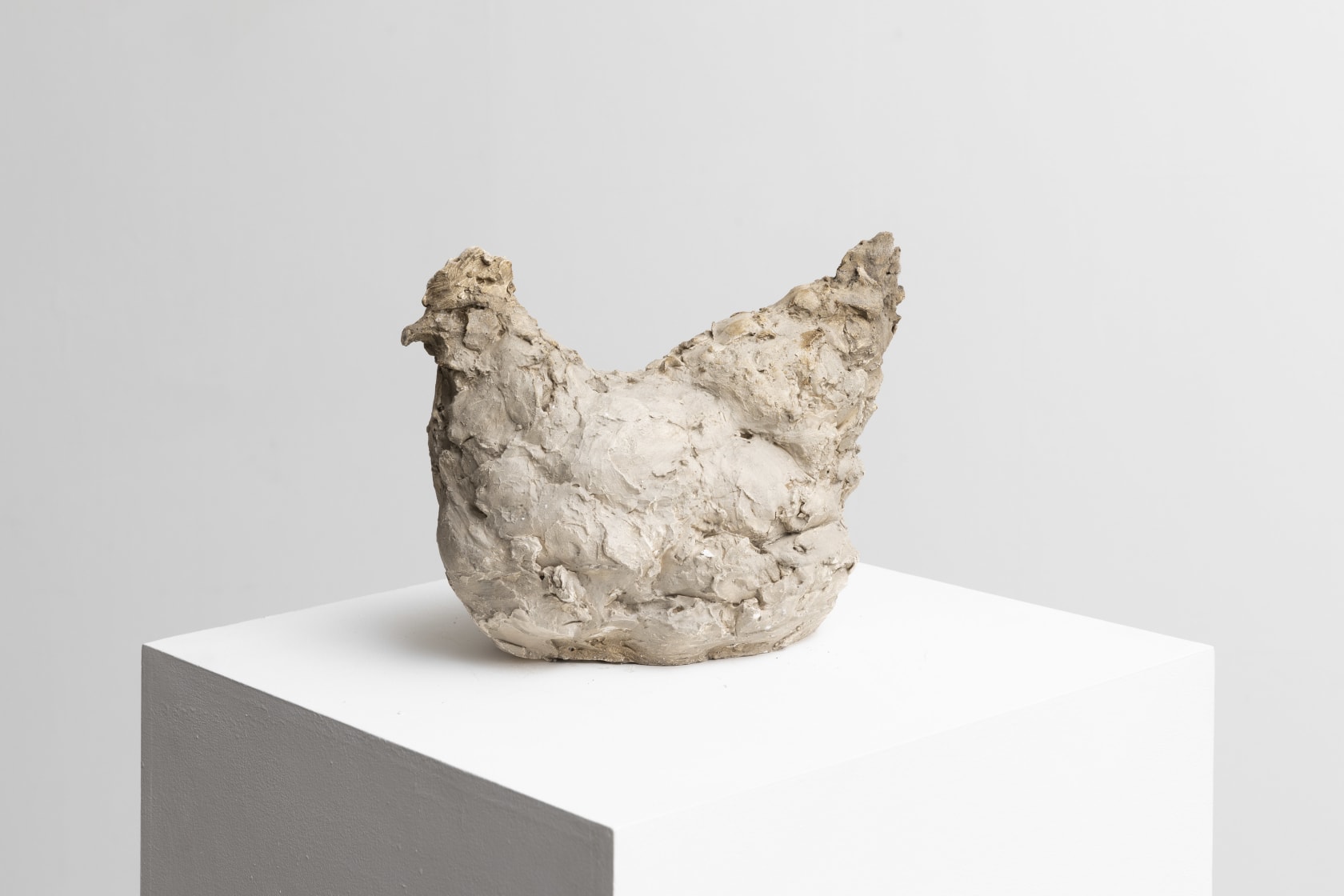 Nicola Hicks, Hen, 2021