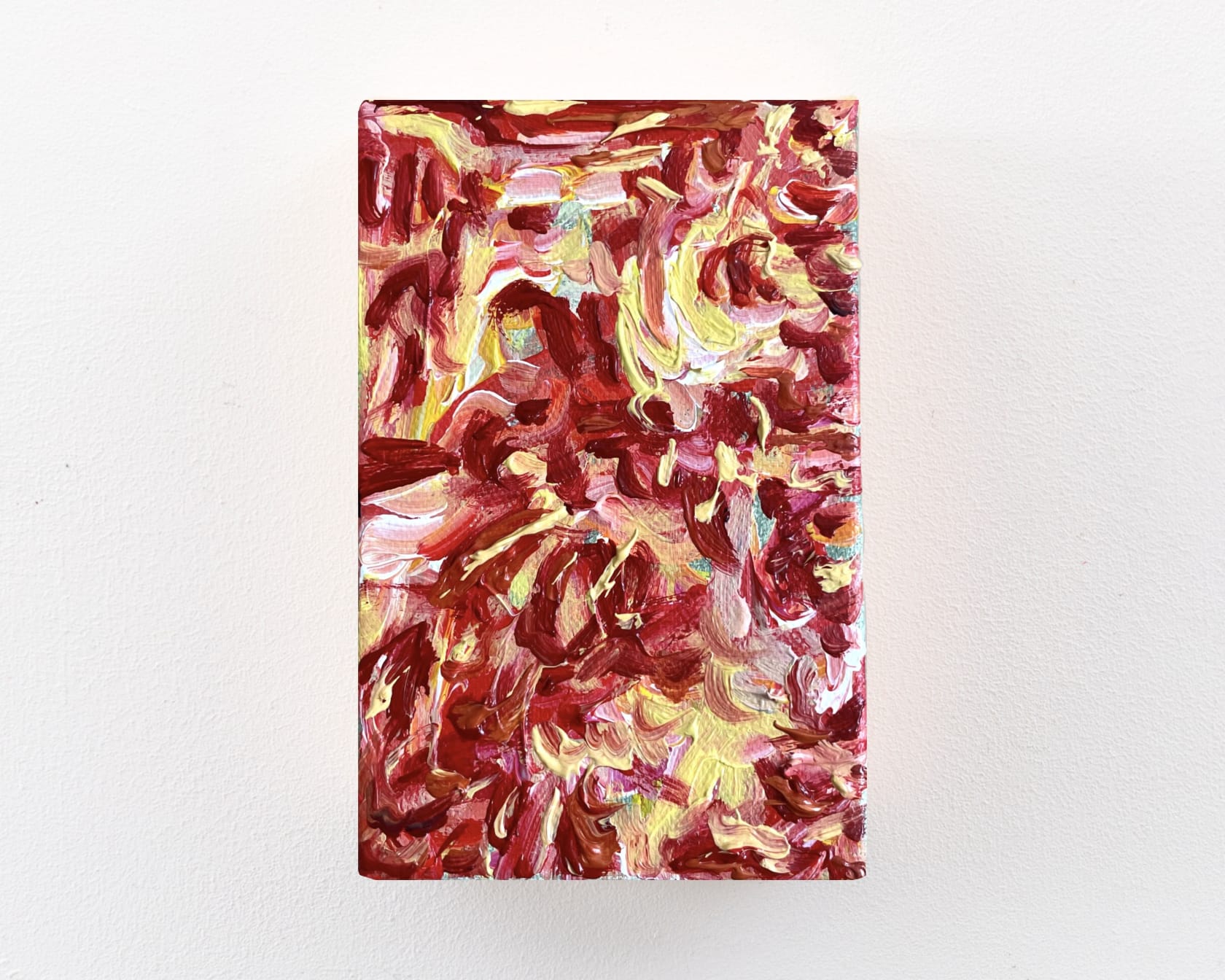 Divya Balivada Tangled in Christmas, 2025