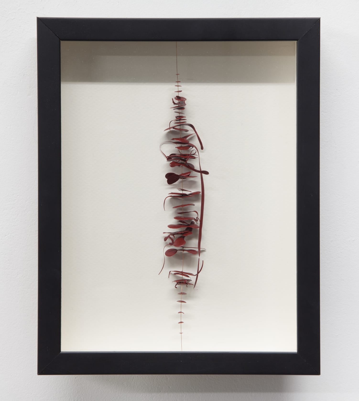 Vicenta Valenciano Drops on a Line, Red, 2016