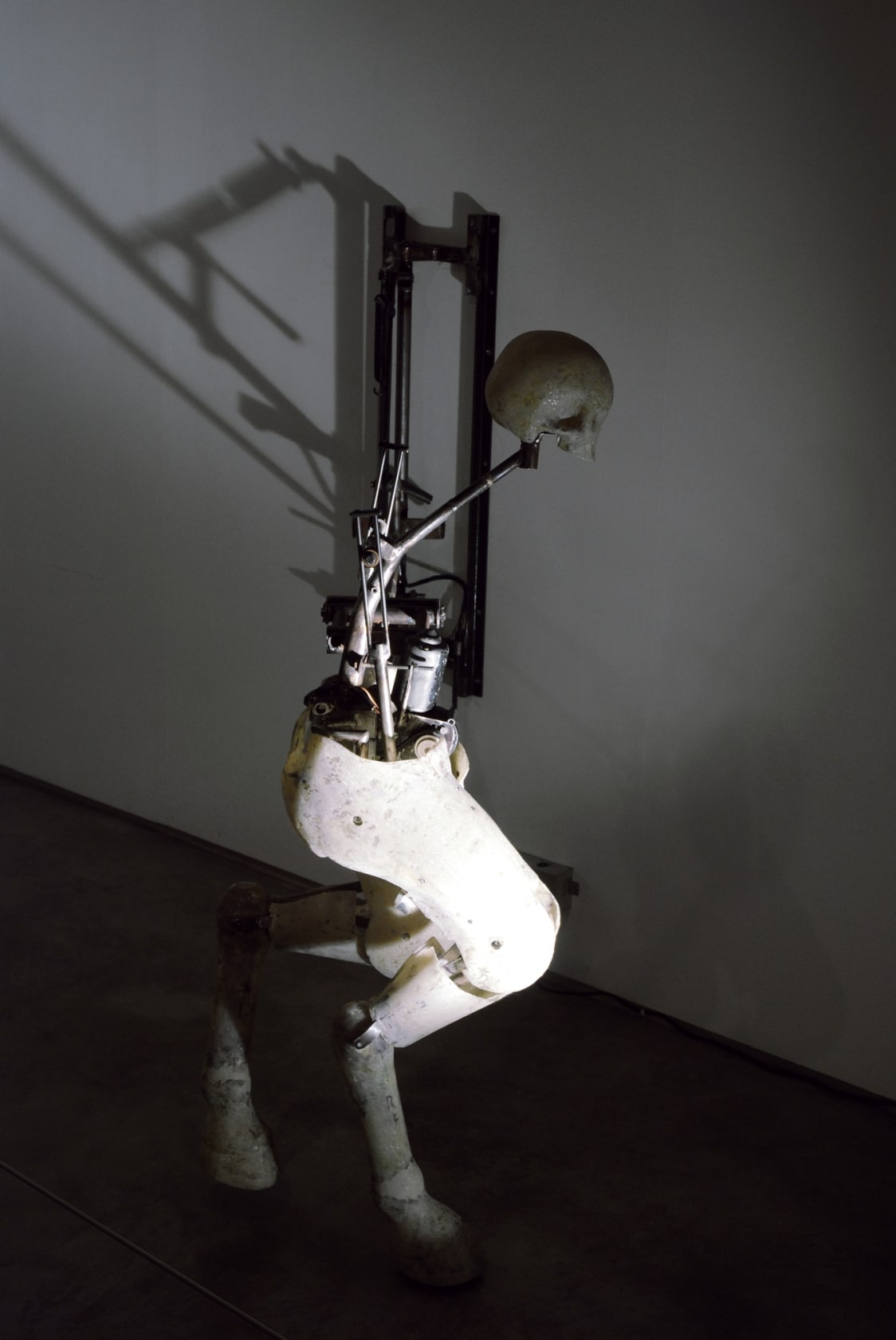 Tim Lewis, Pann, 2011-12