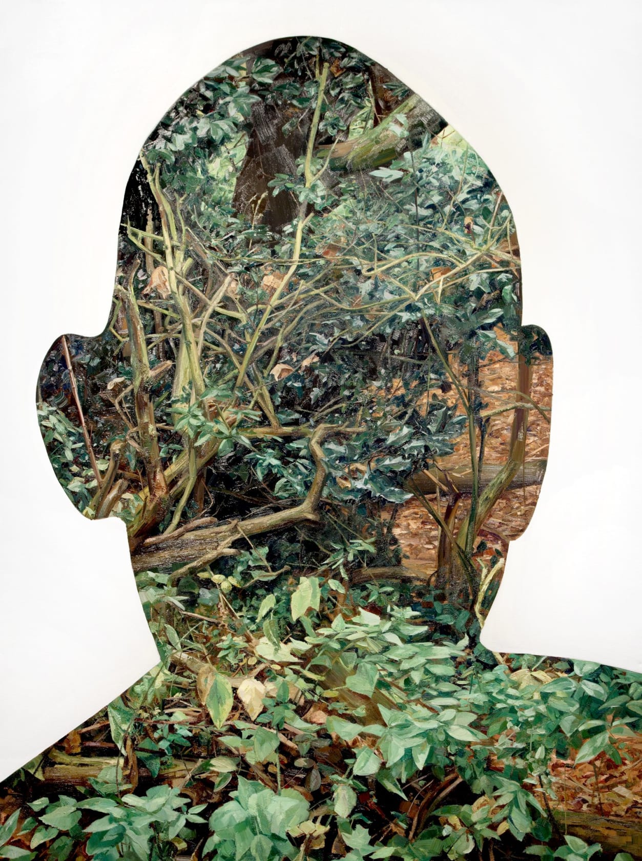 Tai Shan Schierenberg Rousseau, 2013