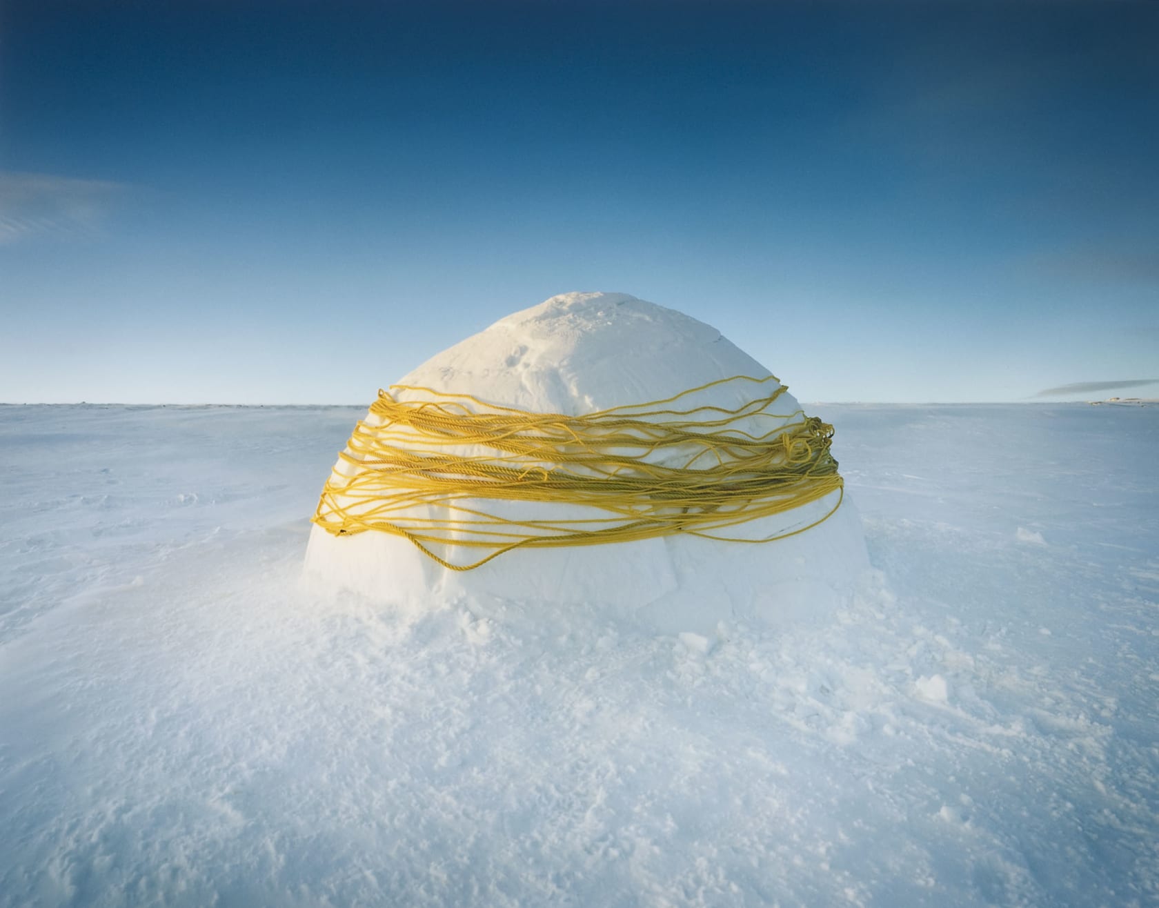 Scarlett Hooft Graafland, Wrapped, 2007 | Flowers Gallery