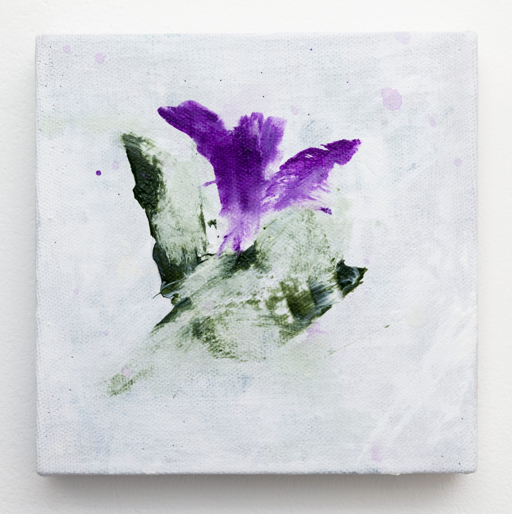 Bianca Raffaella Velvet, 2025