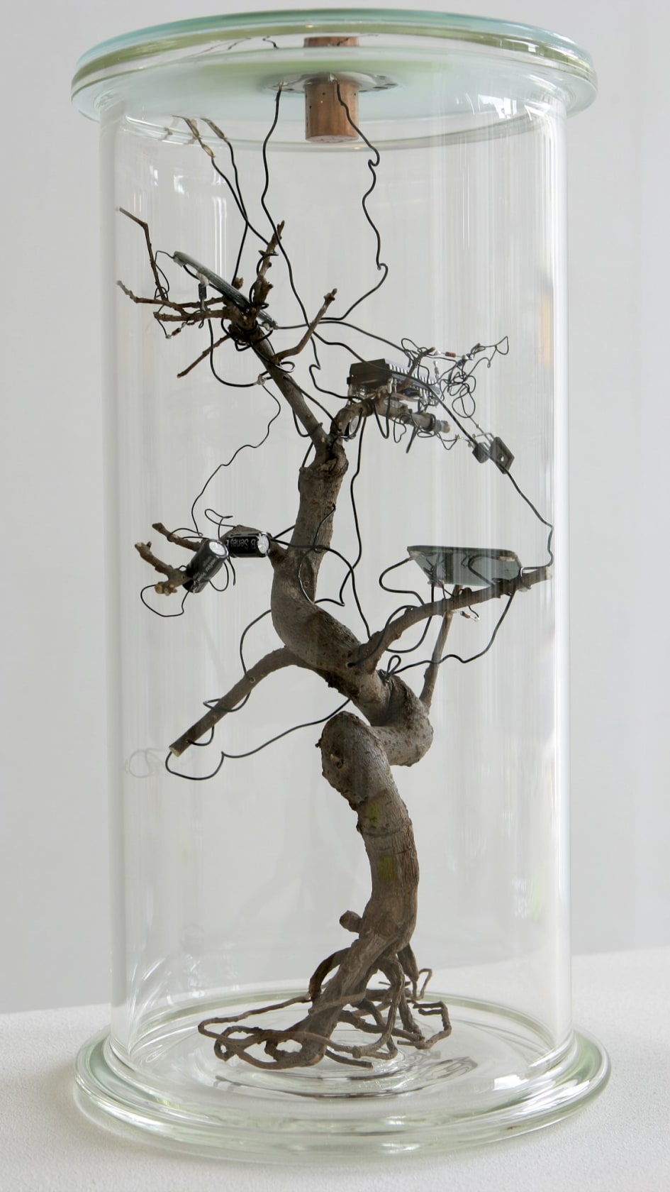 Jane Edden, Experiment No 10, 2007