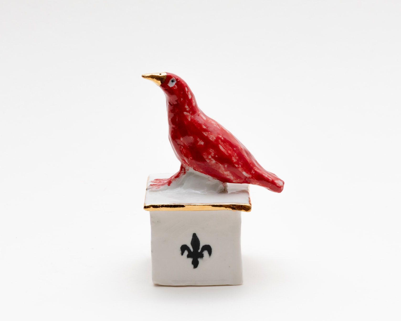 Joseph Dupré Boxer Bird I, 2025