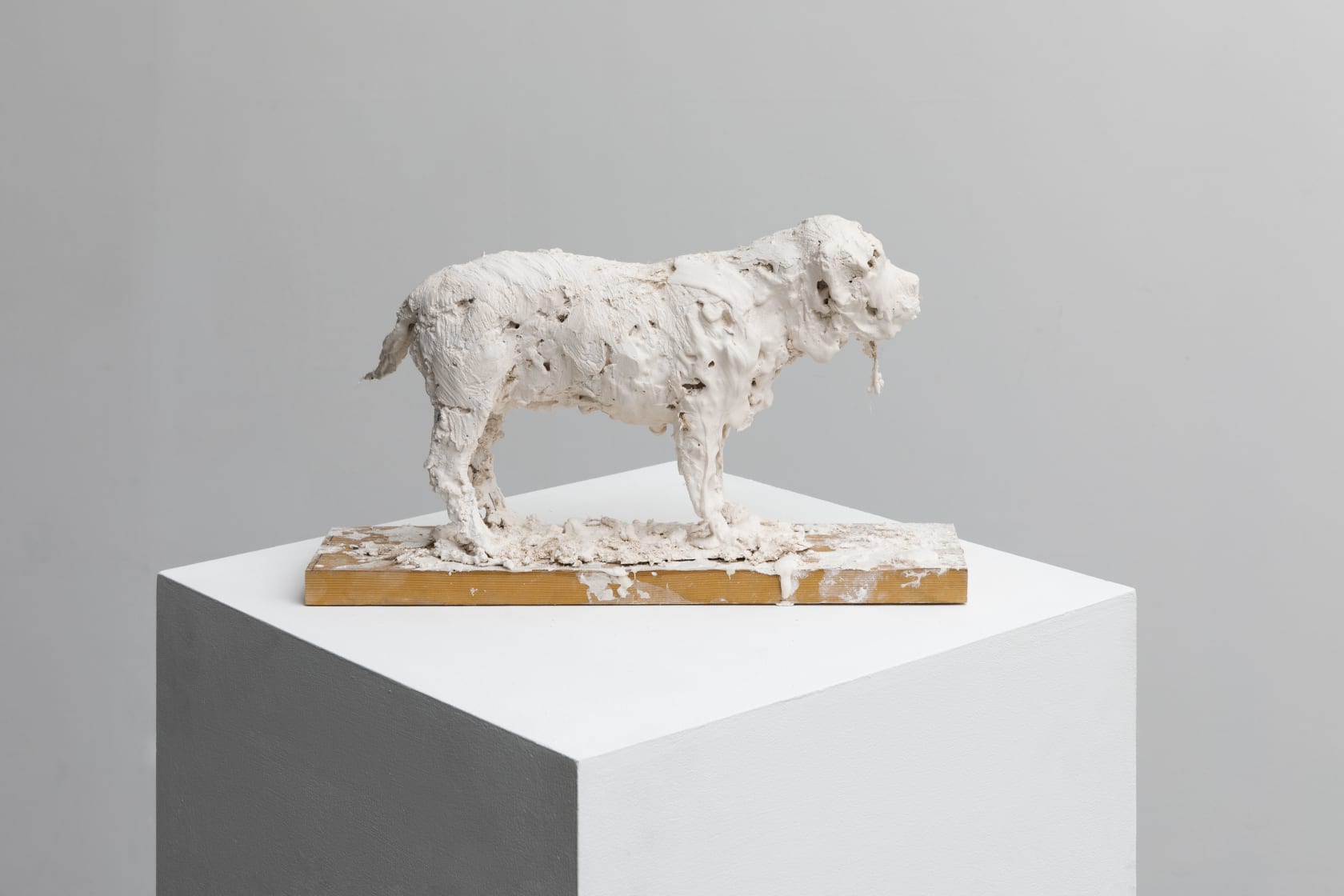 Nicola Hicks, Plato 1, 2019