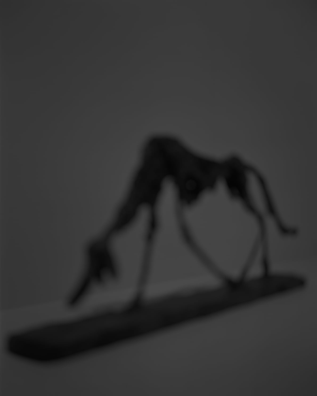 Hiroshi Sugimoto Past Presence 087, Dog, Alberto Giacometti, 2018 © 2019 Alberto Giacometti Estate / VAGA at Artists Rights Society...