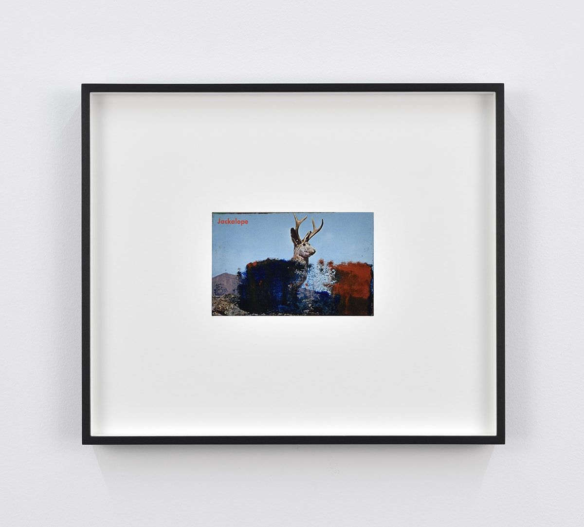 Tacita Dean Found Postcard Monoprint (Jackalope), 2018