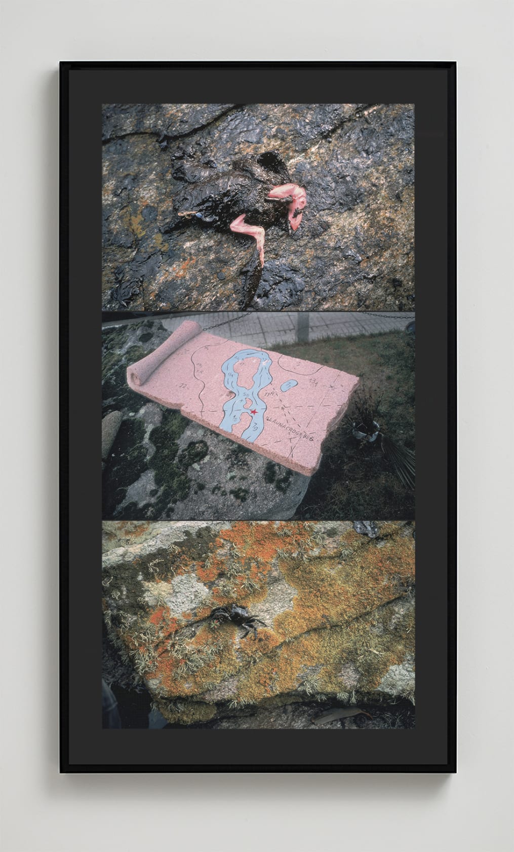 Allan Sekula Large and small disasters (Islas Cies and Bueu, 12/20/02), 2002