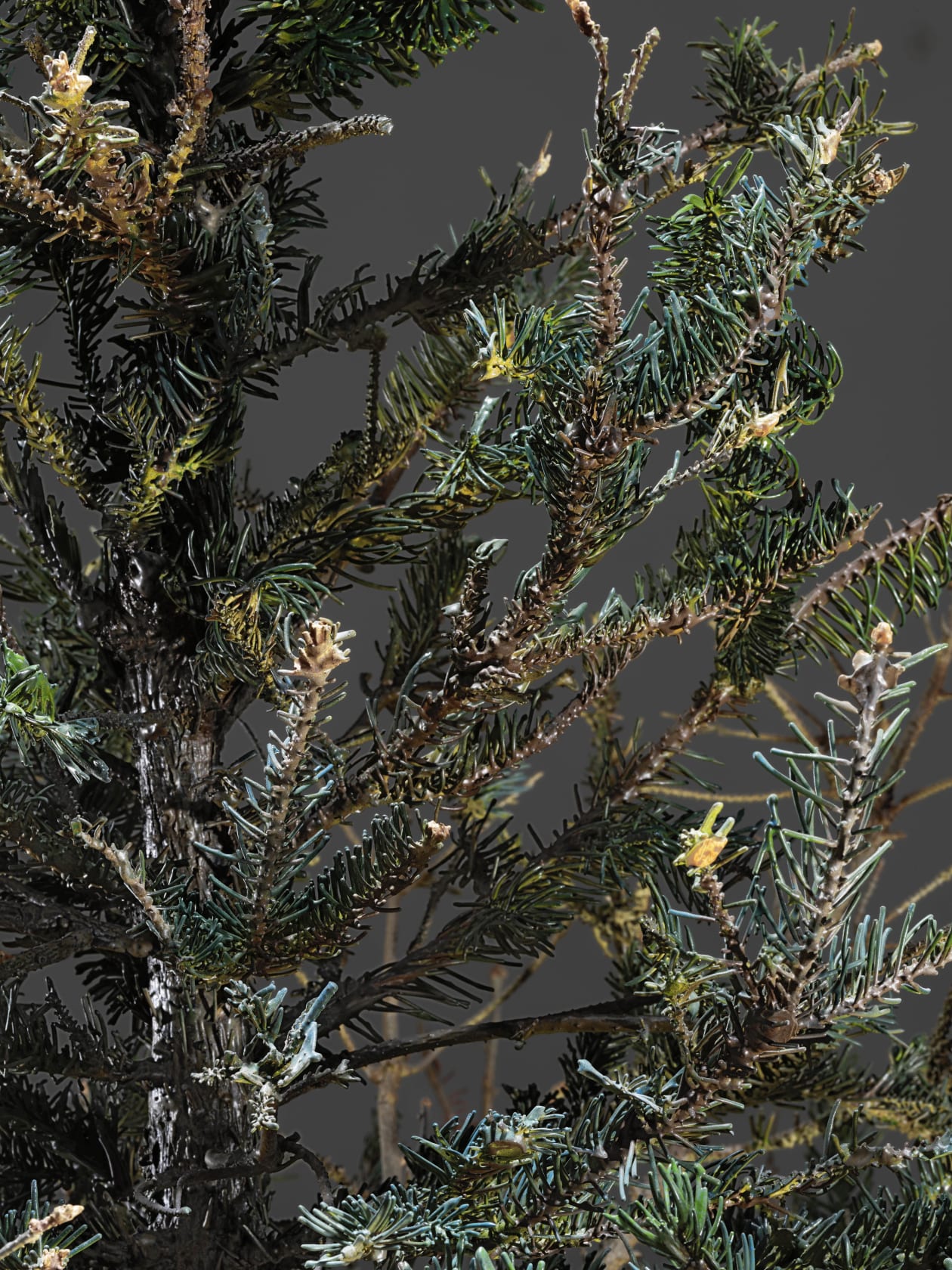 Philippe Parreno Fraught Times, UK 22nd–23rd March 20132020 Tree: Cast and painted stainless steel, glass and 5 glass ornaments Glass...
