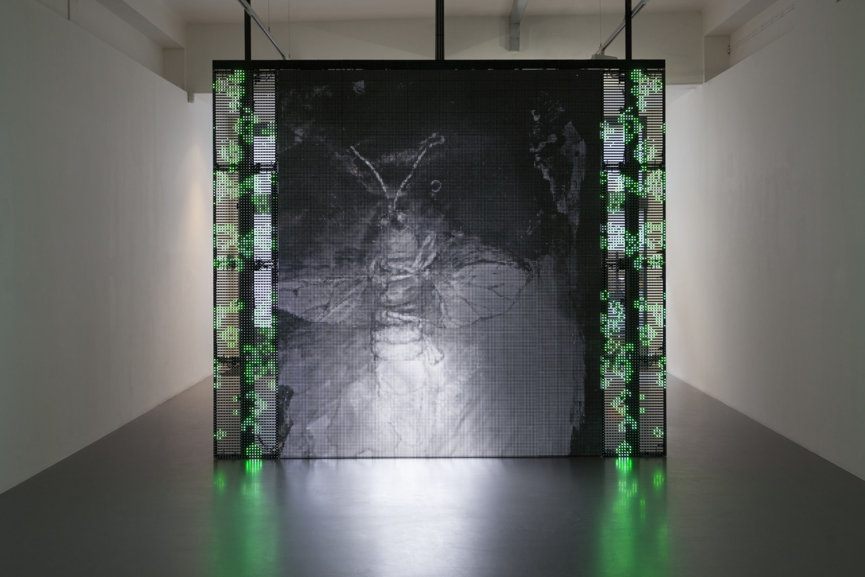 Philippe Parreno, With a Rhythmic Instinction to be Able to Travel Beyond Existing Forces of Life (Green, Rule#1), 2014