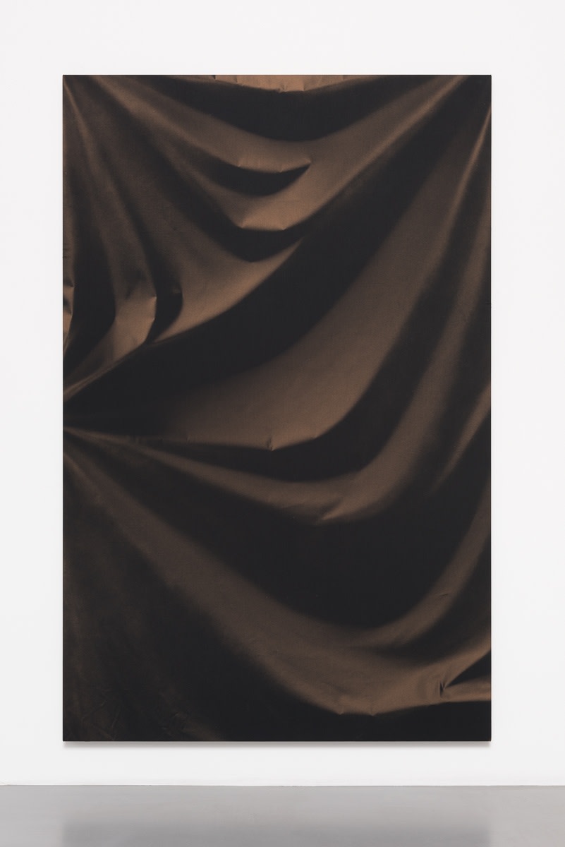 Ulla von Brandenburg, Folds and Hoops, 2015