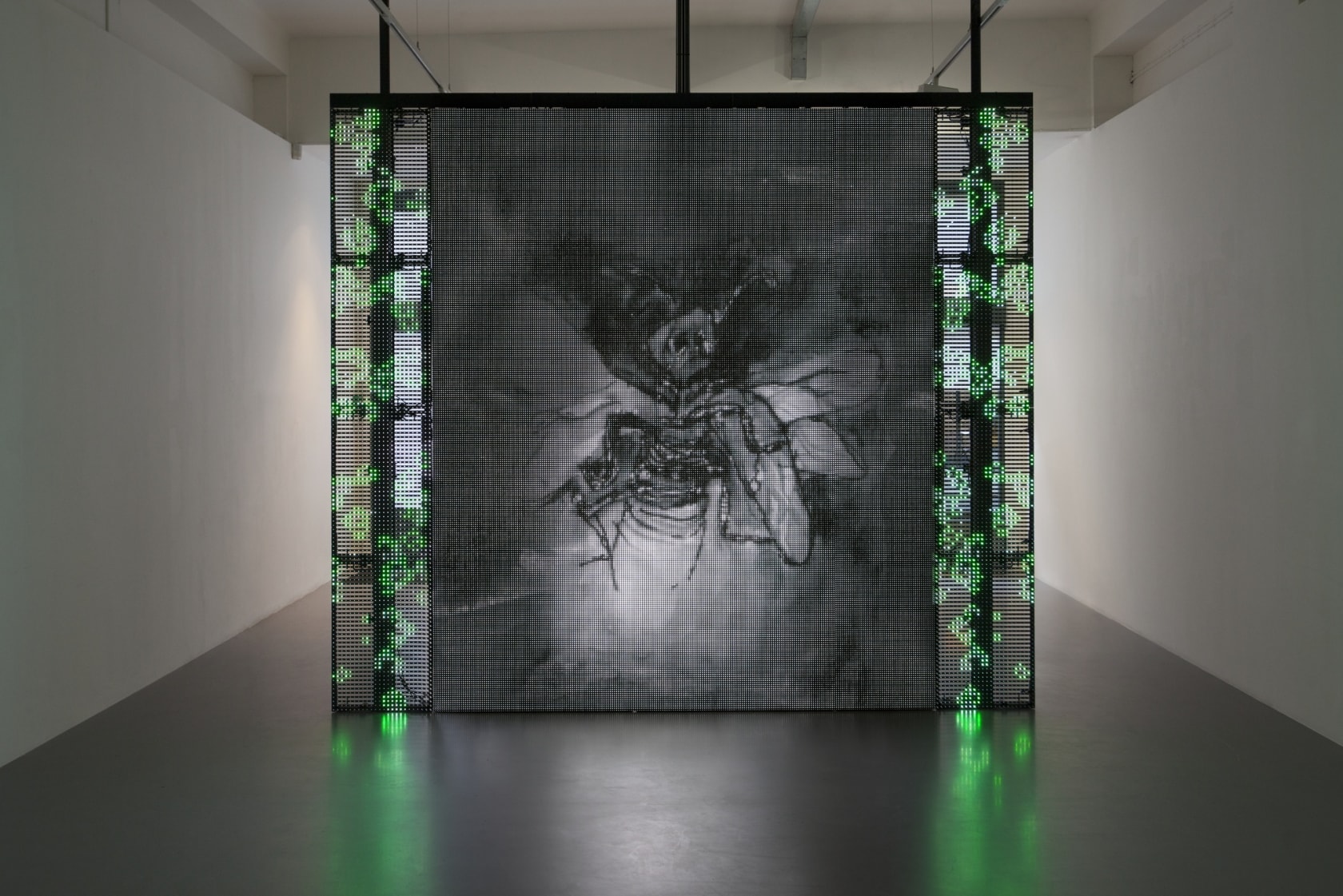 Philippe Parreno, With a Rhythmic Instinction to be Able to Travel Beyond Existing Forces of Life (Green, Rule#1), 2014