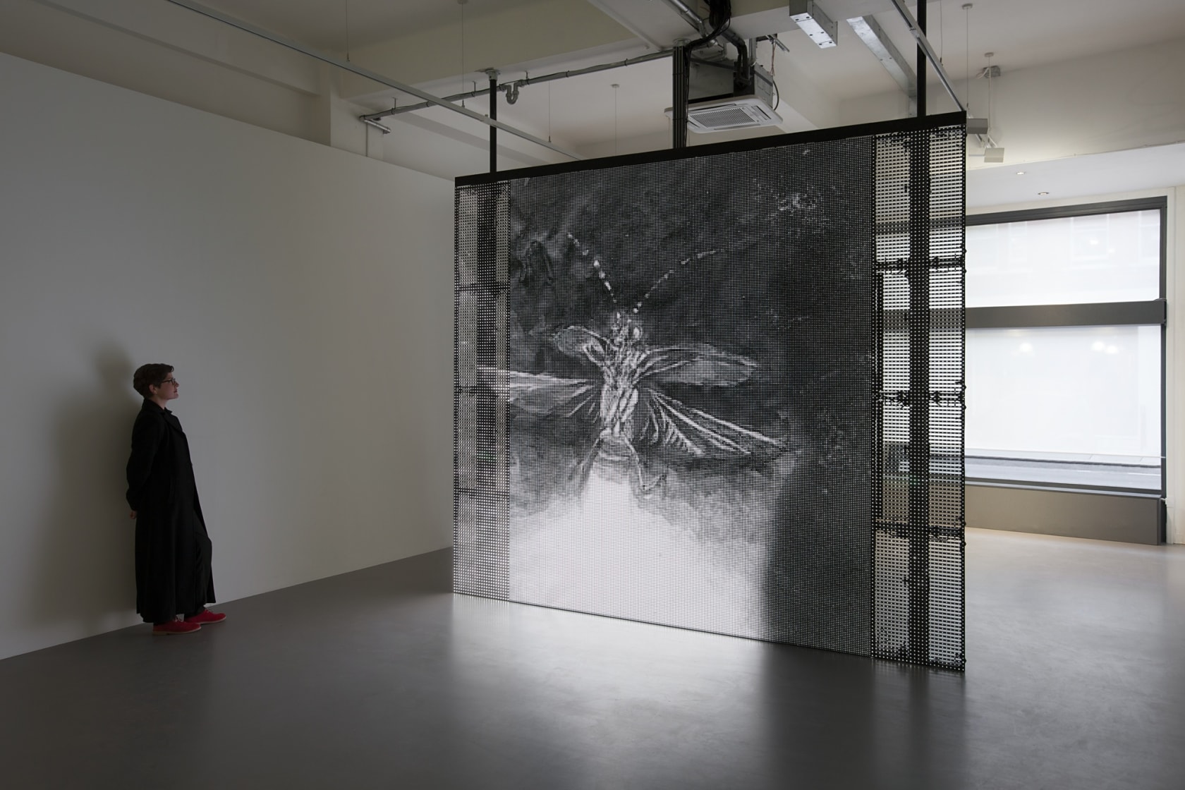 Philippe Parreno, With a Rhythmic Instinction to be Able to Travel Beyond Existing Forces of Life (Green, Rule#1), 2014
