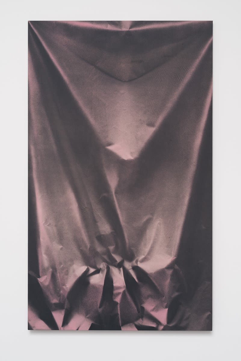 Ulla von Brandenburg, Folds and Bamboo, 2015