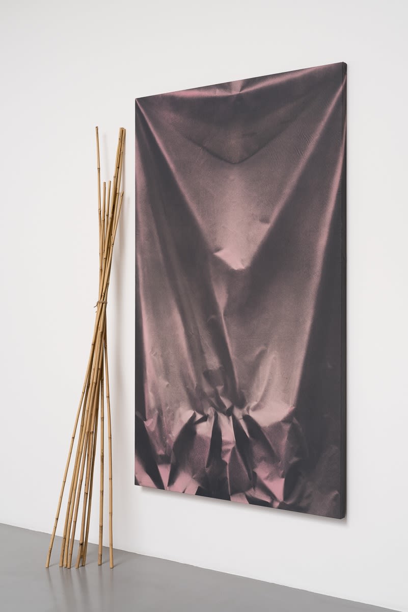 Ulla von Brandenburg, Folds and Bamboo, 2015