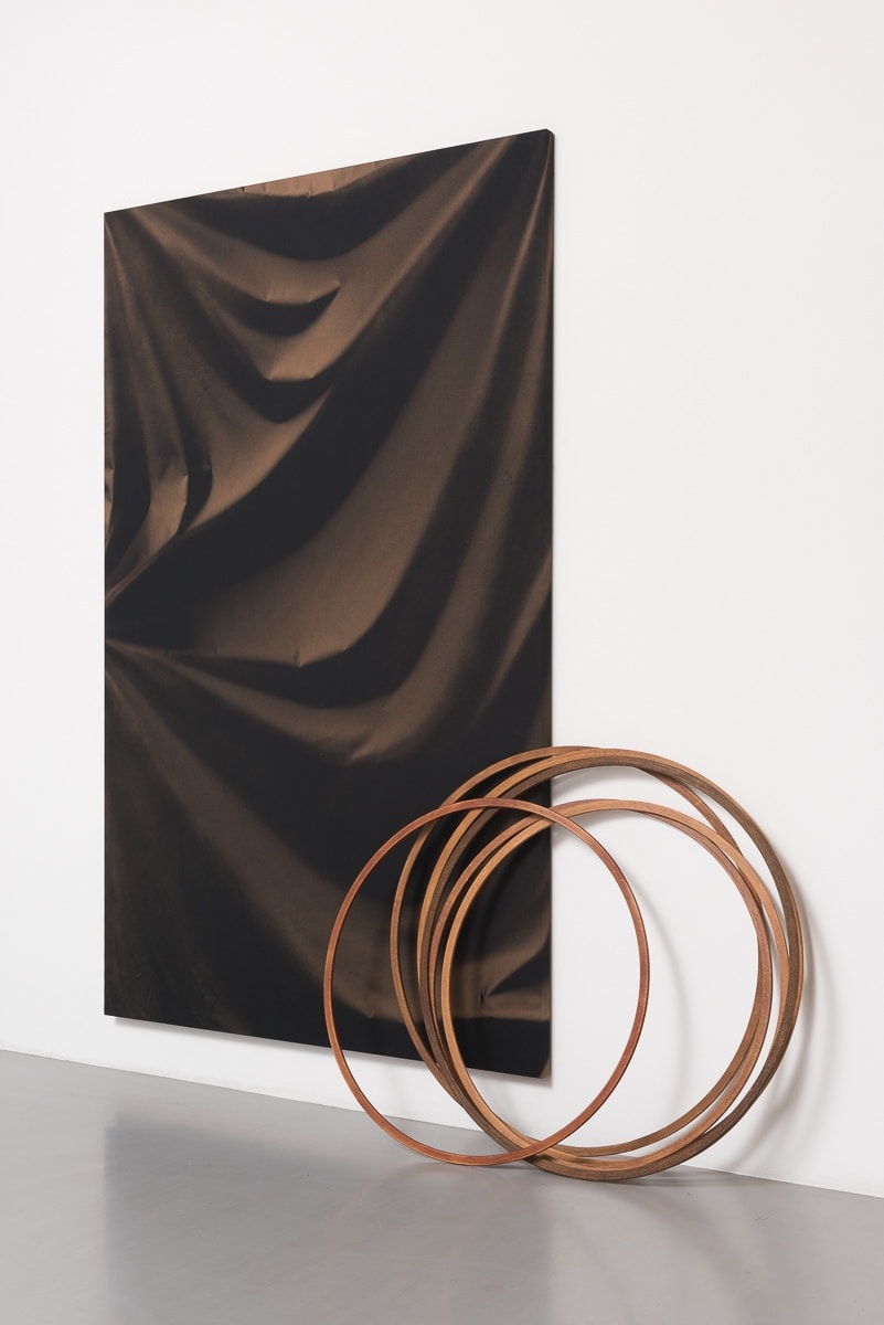 Ulla von Brandenburg, Folds and Hoops, 2015