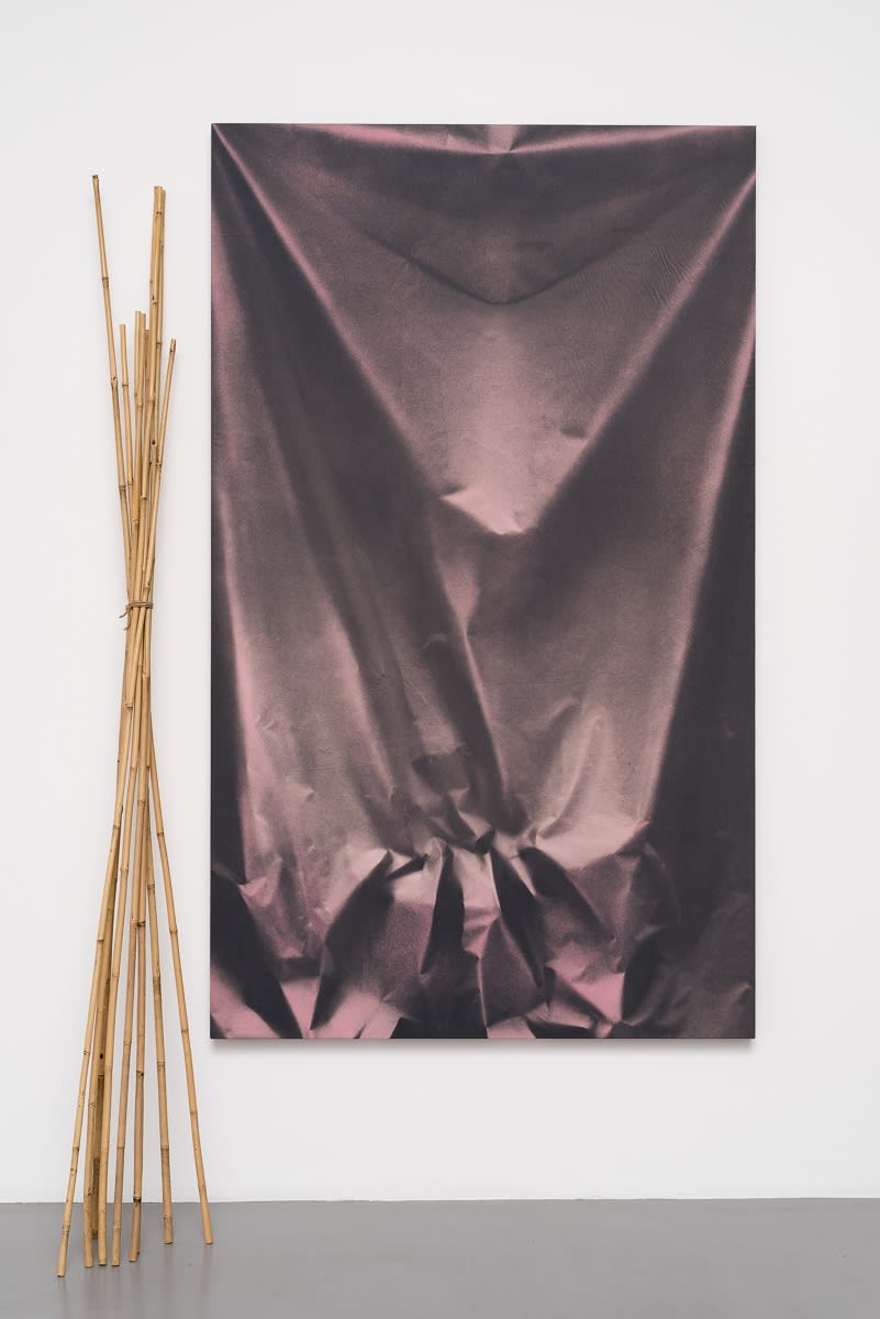 Ulla von Brandenburg, Folds and Bamboo, 2015