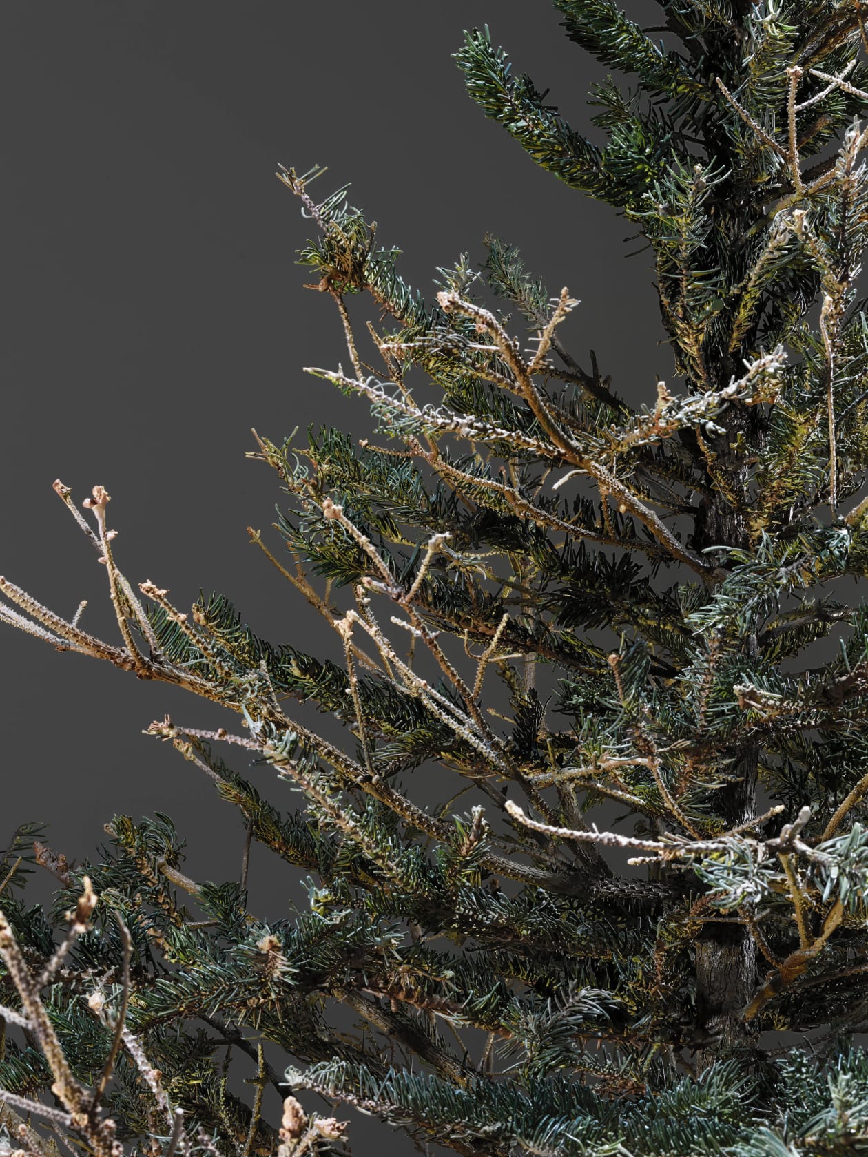 Philippe Parreno Fraught Times, UK 22nd–23rd March 20132020 Tree: Cast and painted stainless steel, glass and 5 glass ornaments Glass...