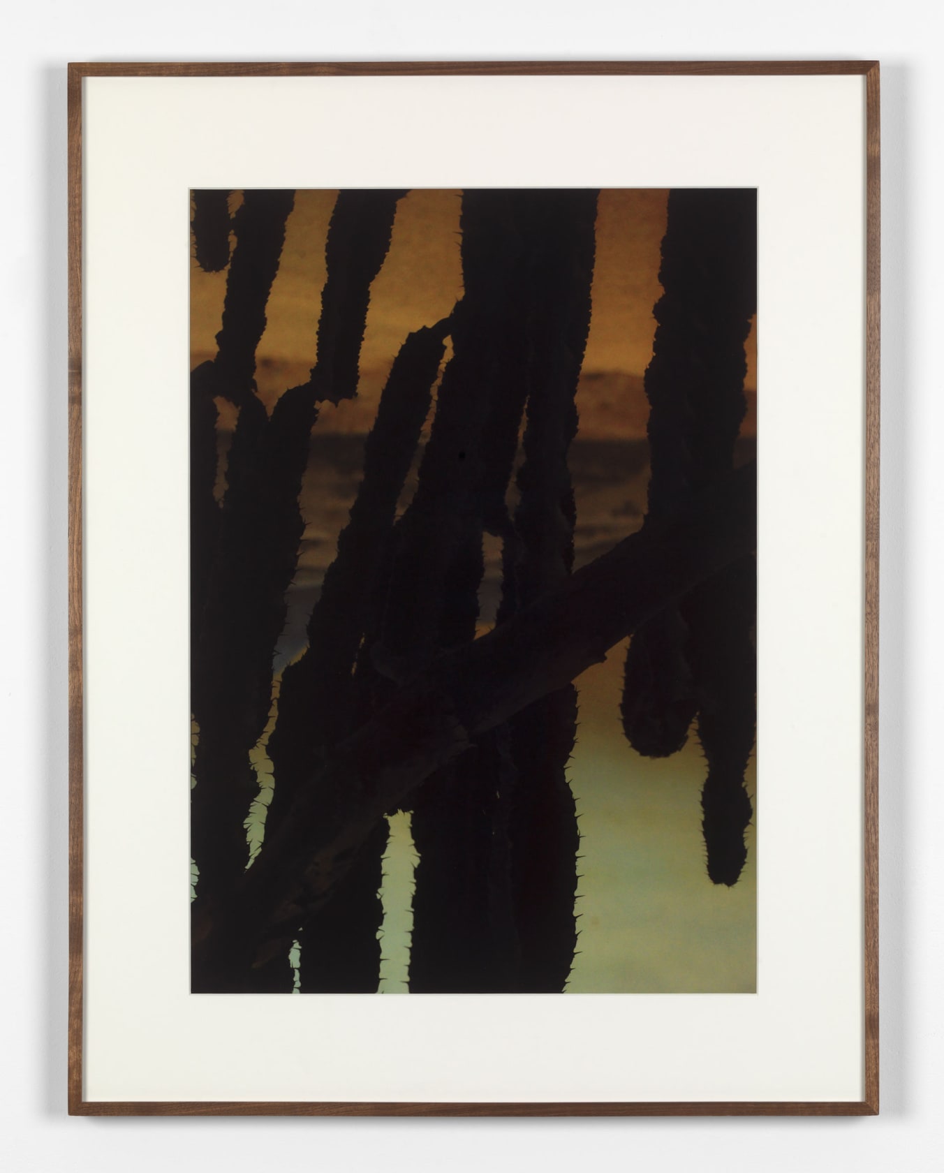 Rivane Neuenschwander, A place not far from here, 2009