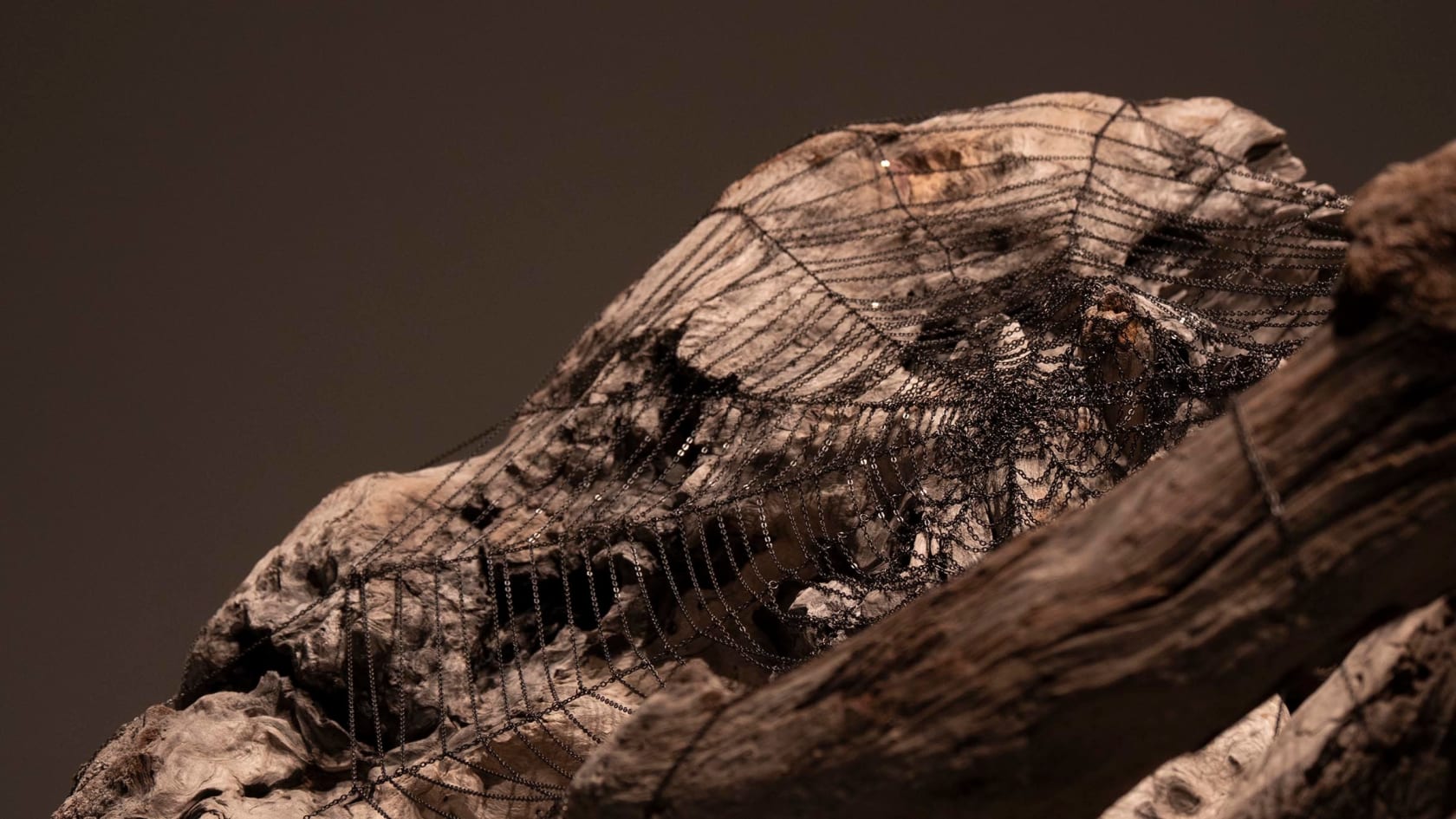 Jim Hodges, Still, 2019