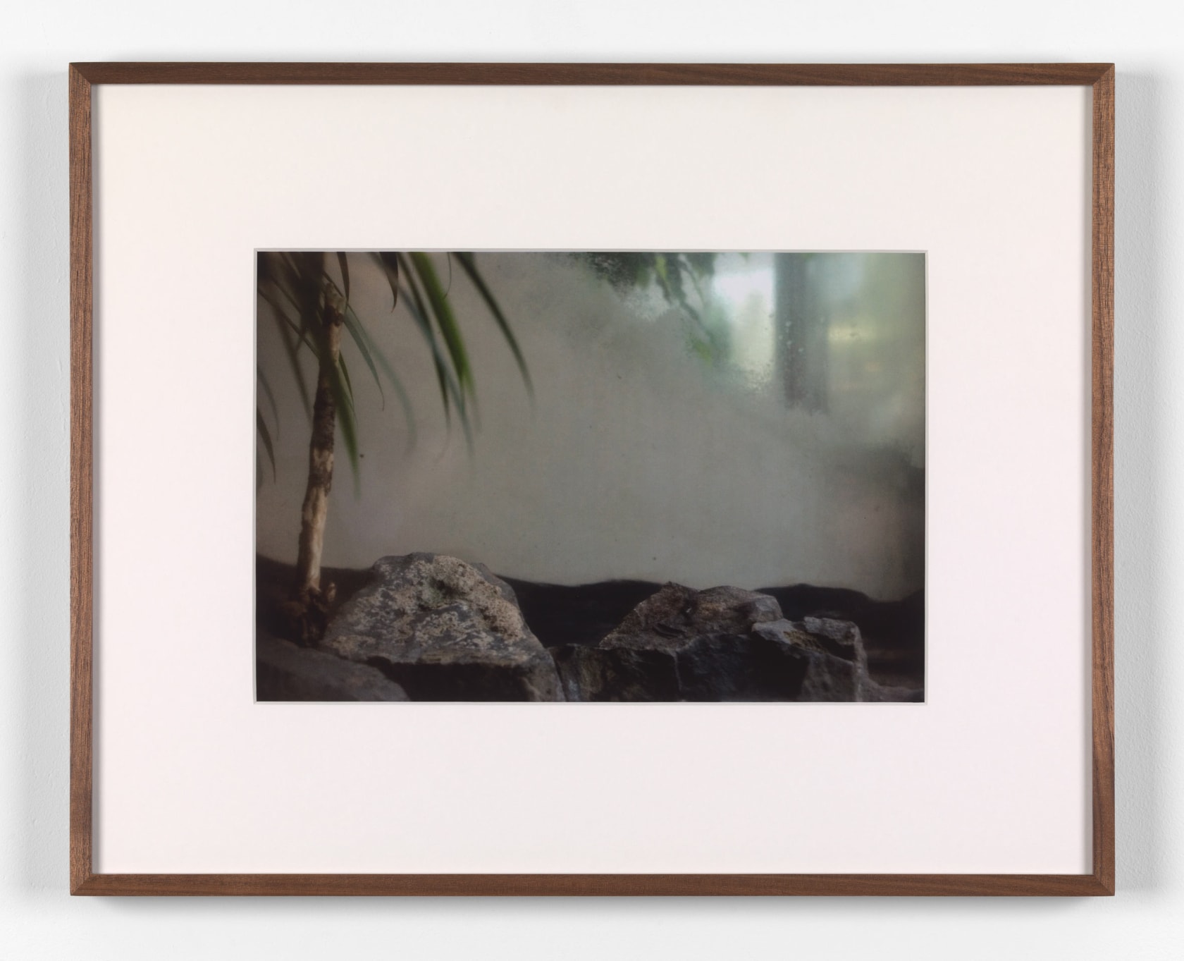 Rivane Neuenschwander, A place not far from here, 2009