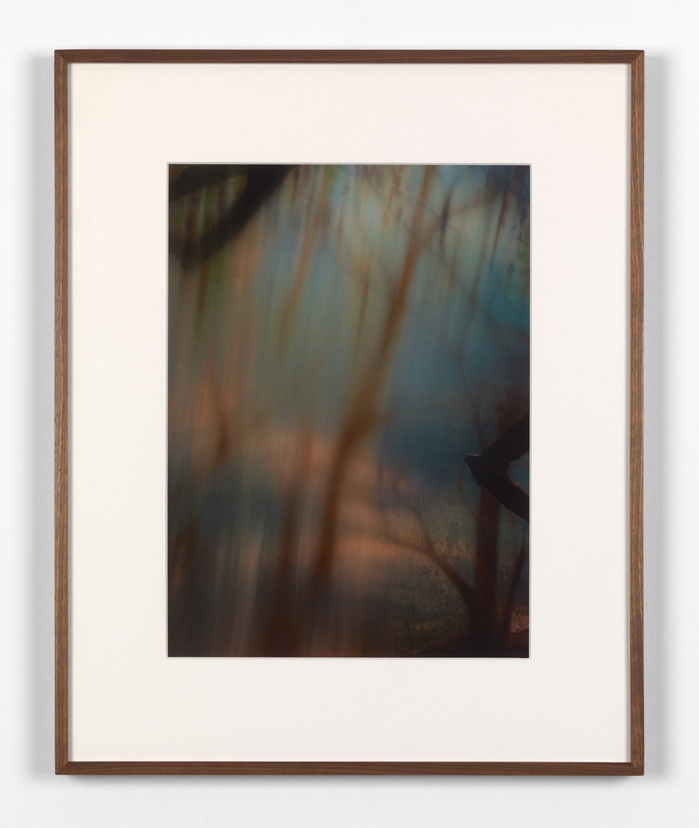 Rivane Neuenschwander, A place not far from here, 2009