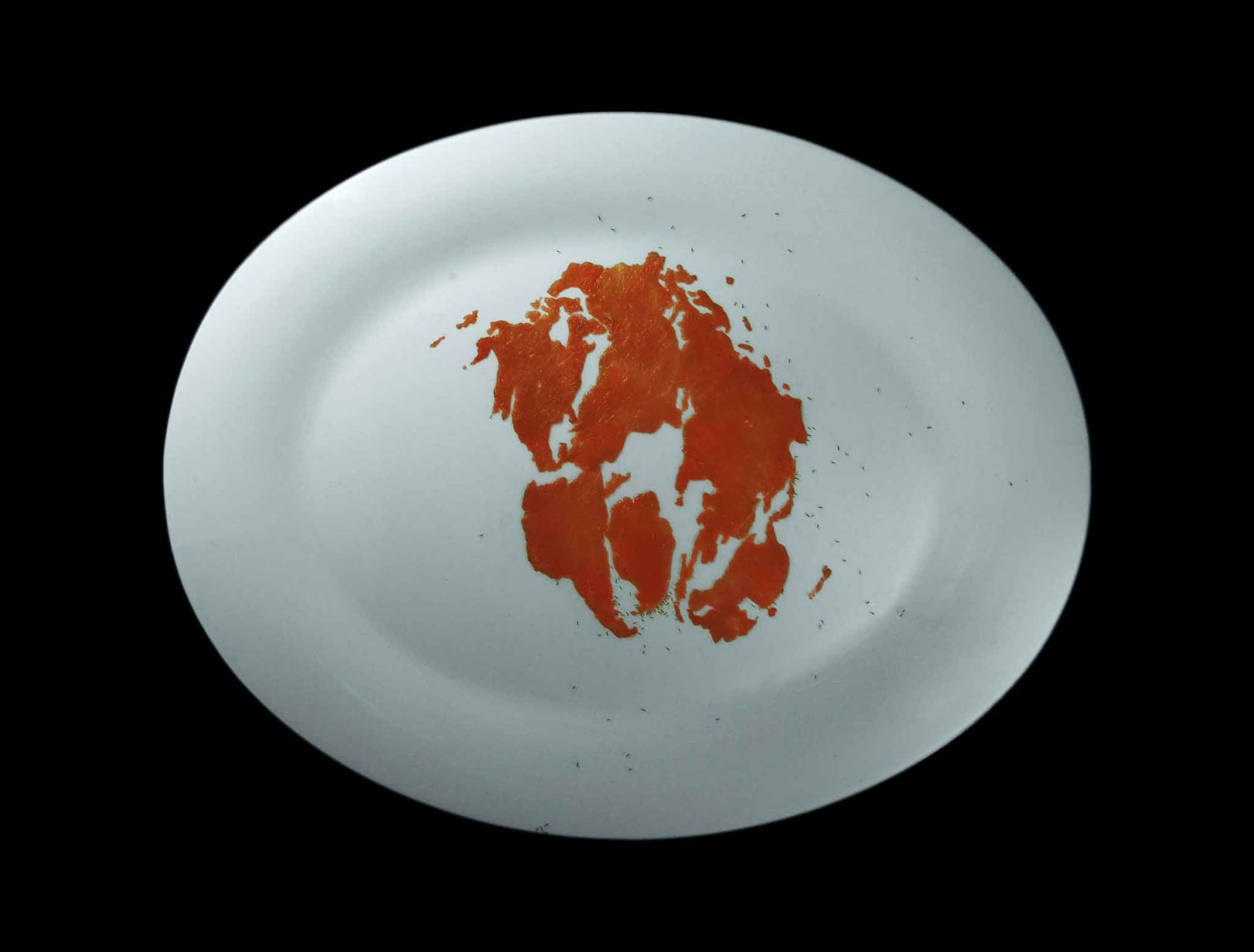 Rivane Neuenschwander, Pangaea’s Diaries, 2008