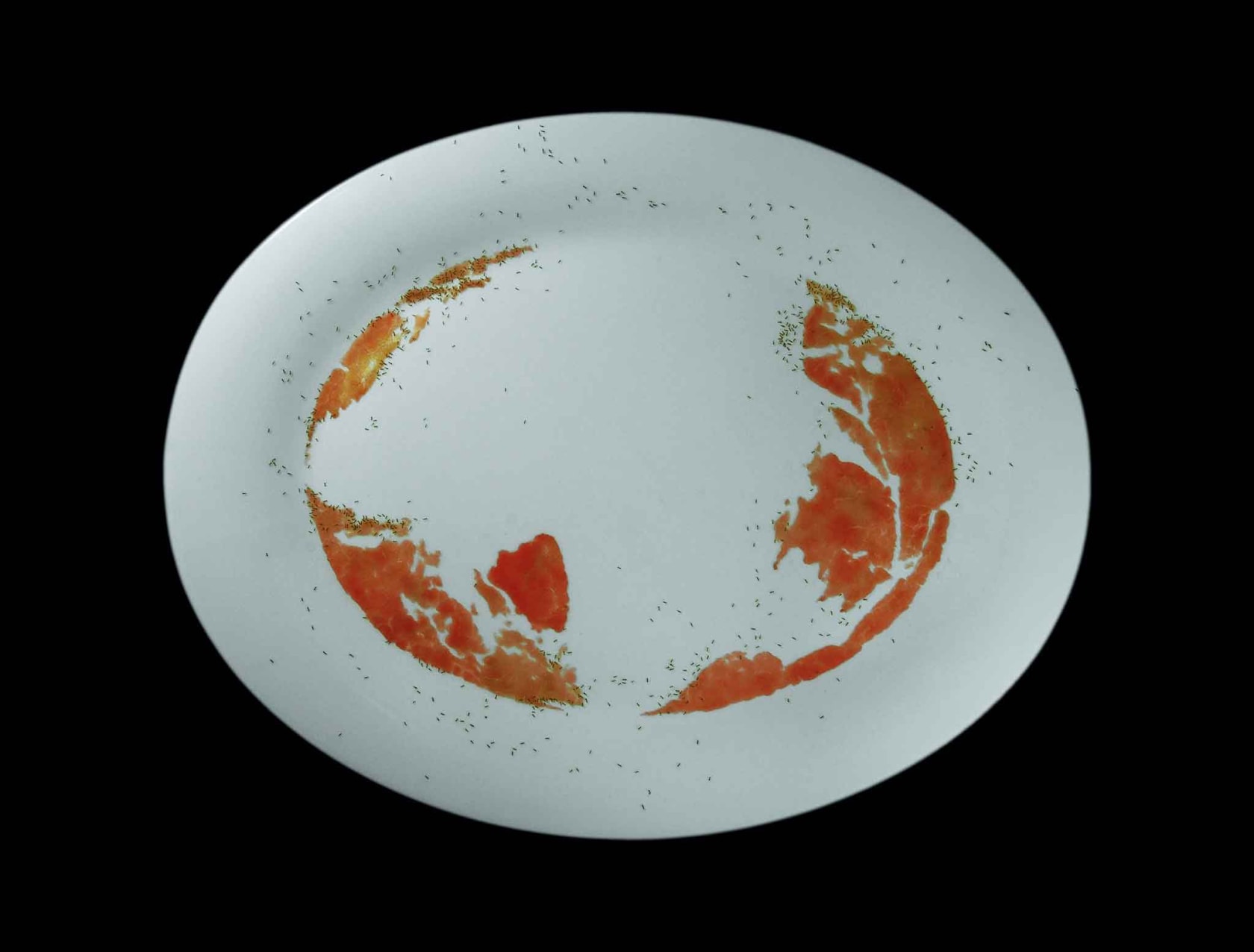 Rivane Neuenschwander, Pangaea’s Diaries, 2008