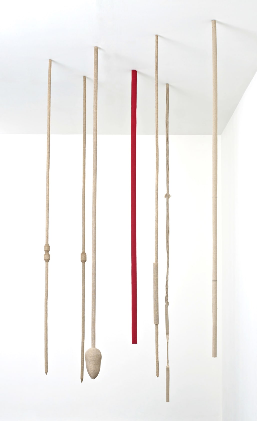 Tonico Lemos Auad, Seven Seahorses, 2013