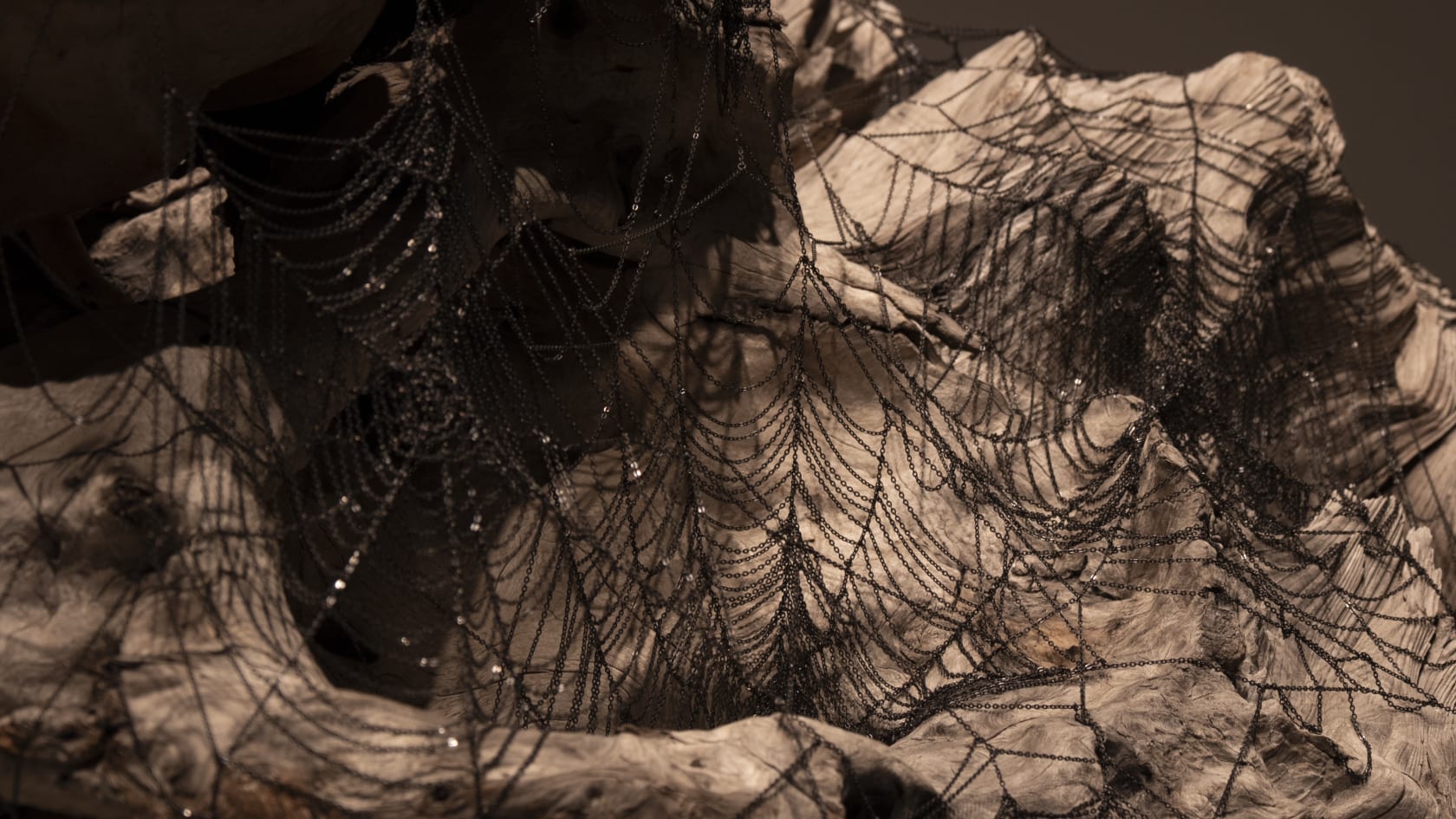 Jim Hodges, Still, 2019