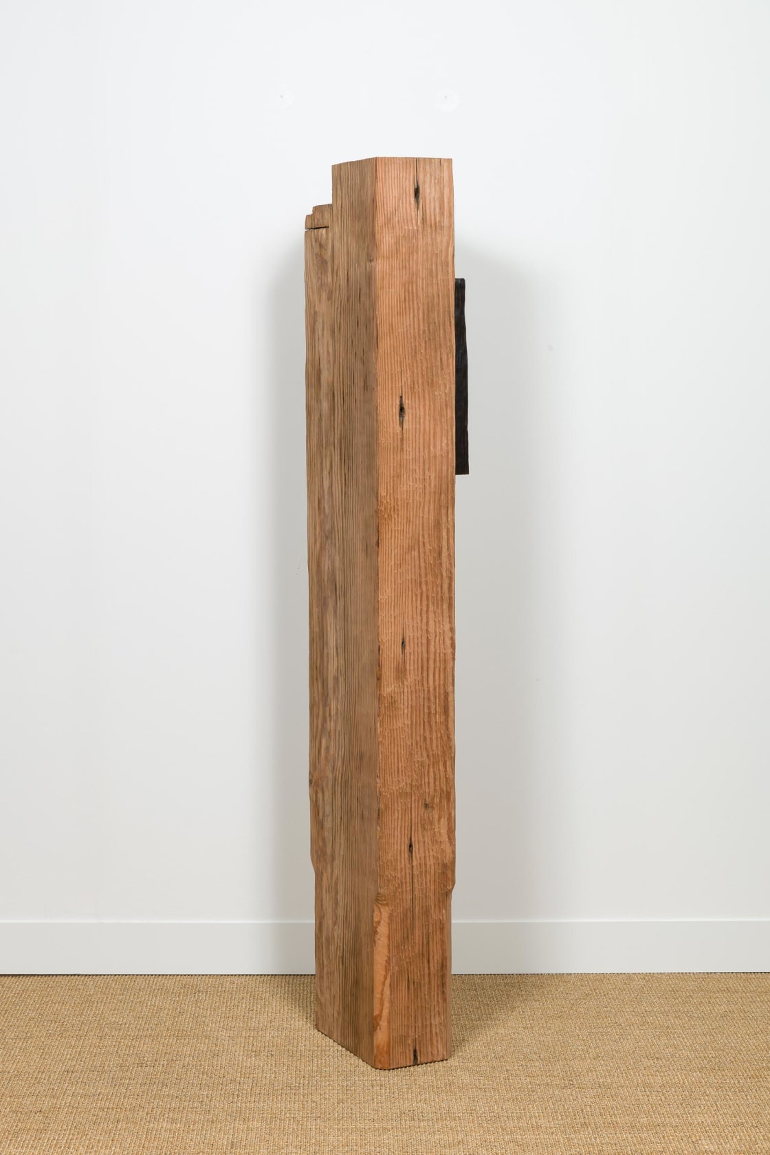 Tonico Lemos Auad, The World is Black as Ink, 2019