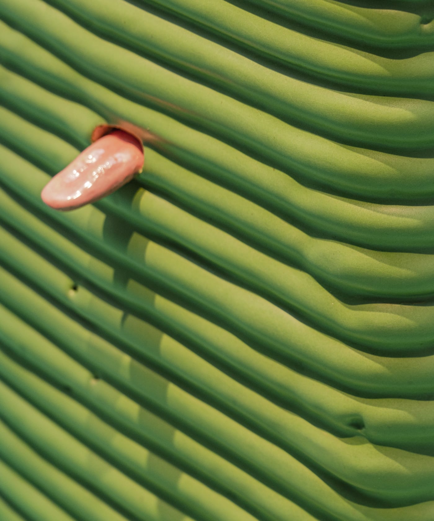 Jonathan Baldock, Earthly Coil (Sight), 2021
