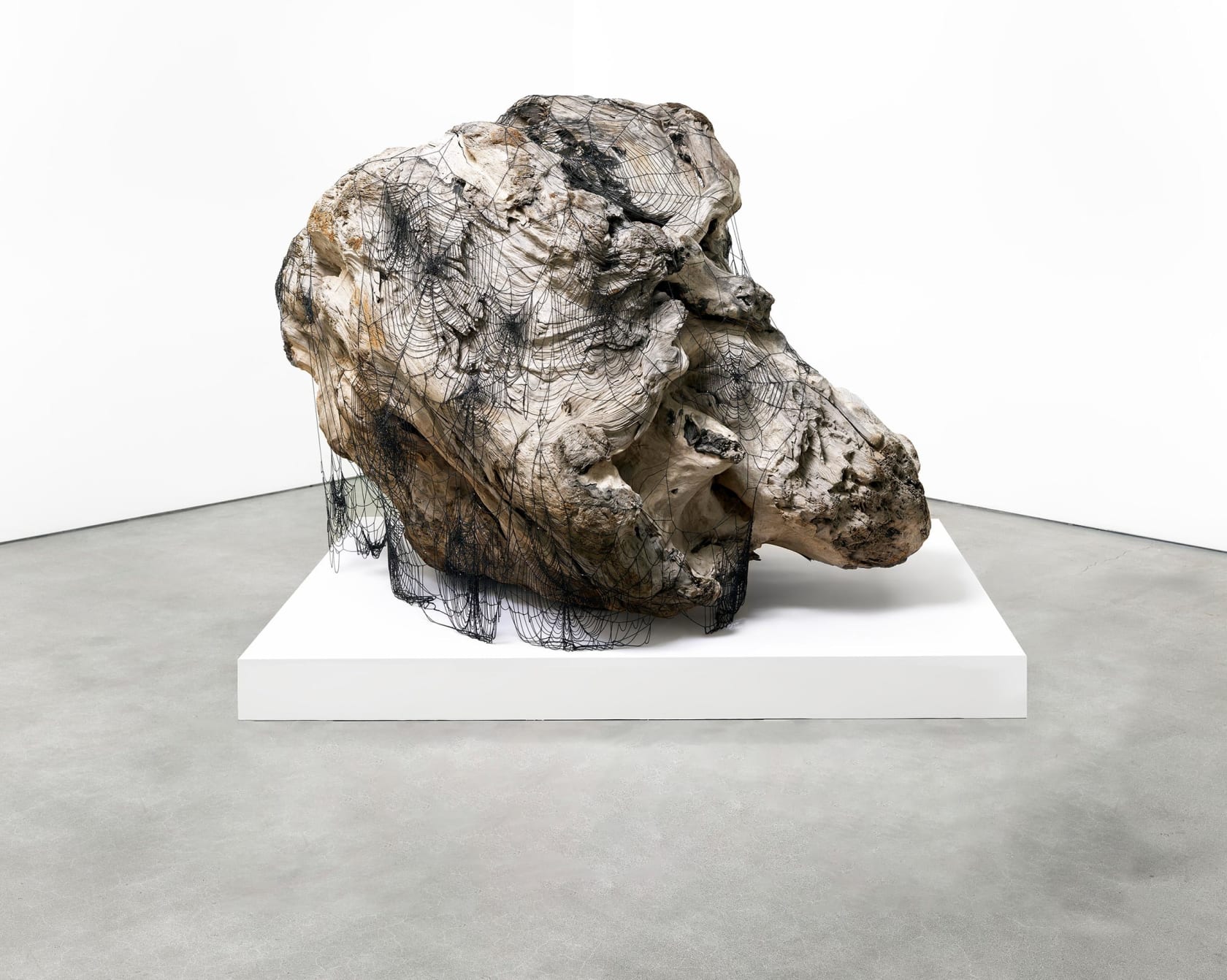 Jim Hodges, Still, 2019