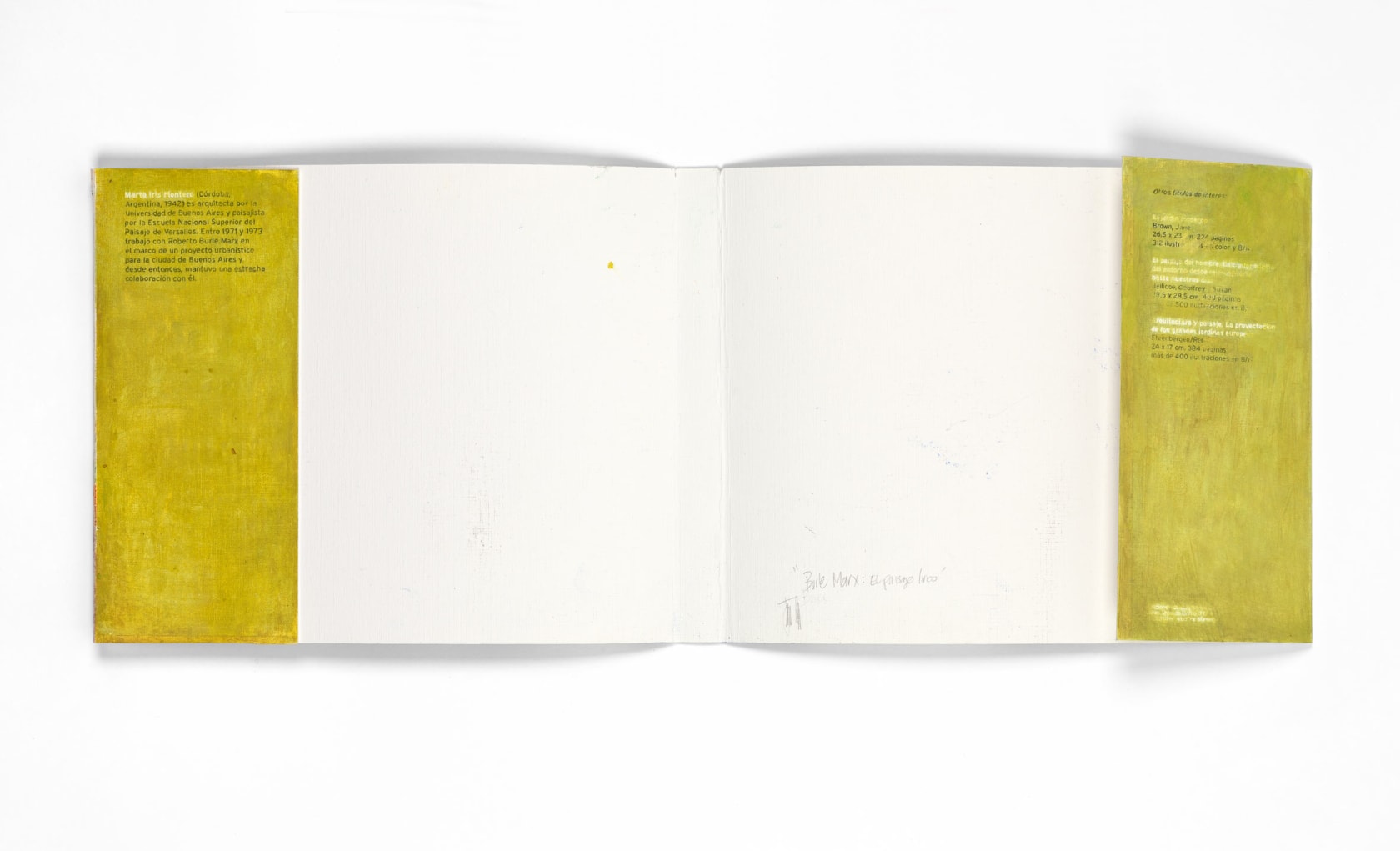 Juan Araujo, Book Cover Burle Marx: el paisaje Lirico, 2015