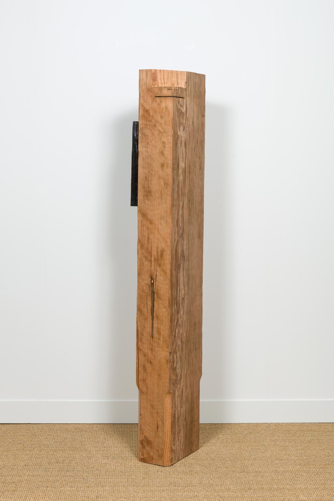 Tonico Lemos Auad, The World is Black as Ink, 2019