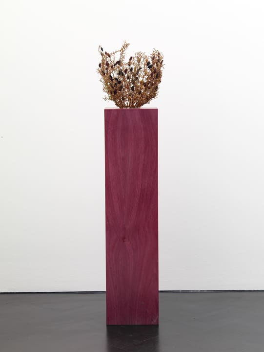 Tonico Lemos Auad, Grape Vase, 2009