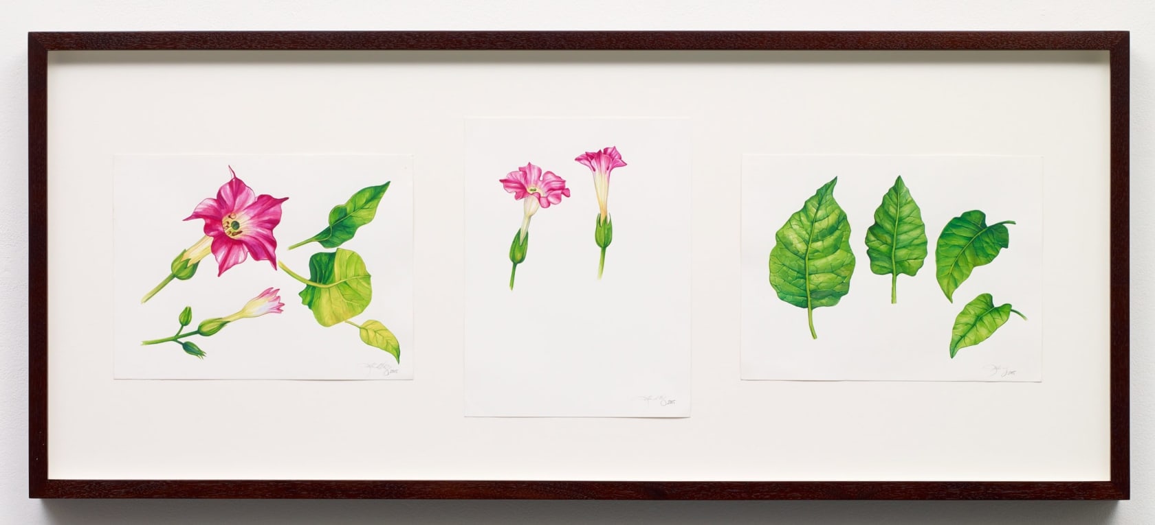 Kehinde Wiley, Nicotiana Tabacum, 2015