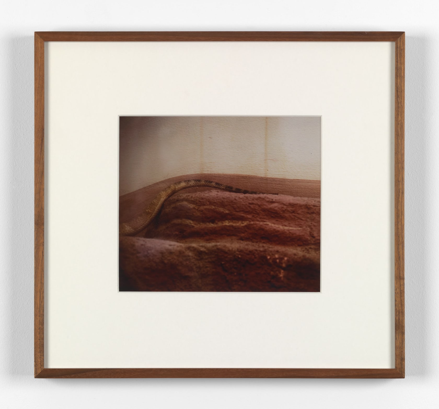 Rivane Neuenschwander, A place not far from here, 2009