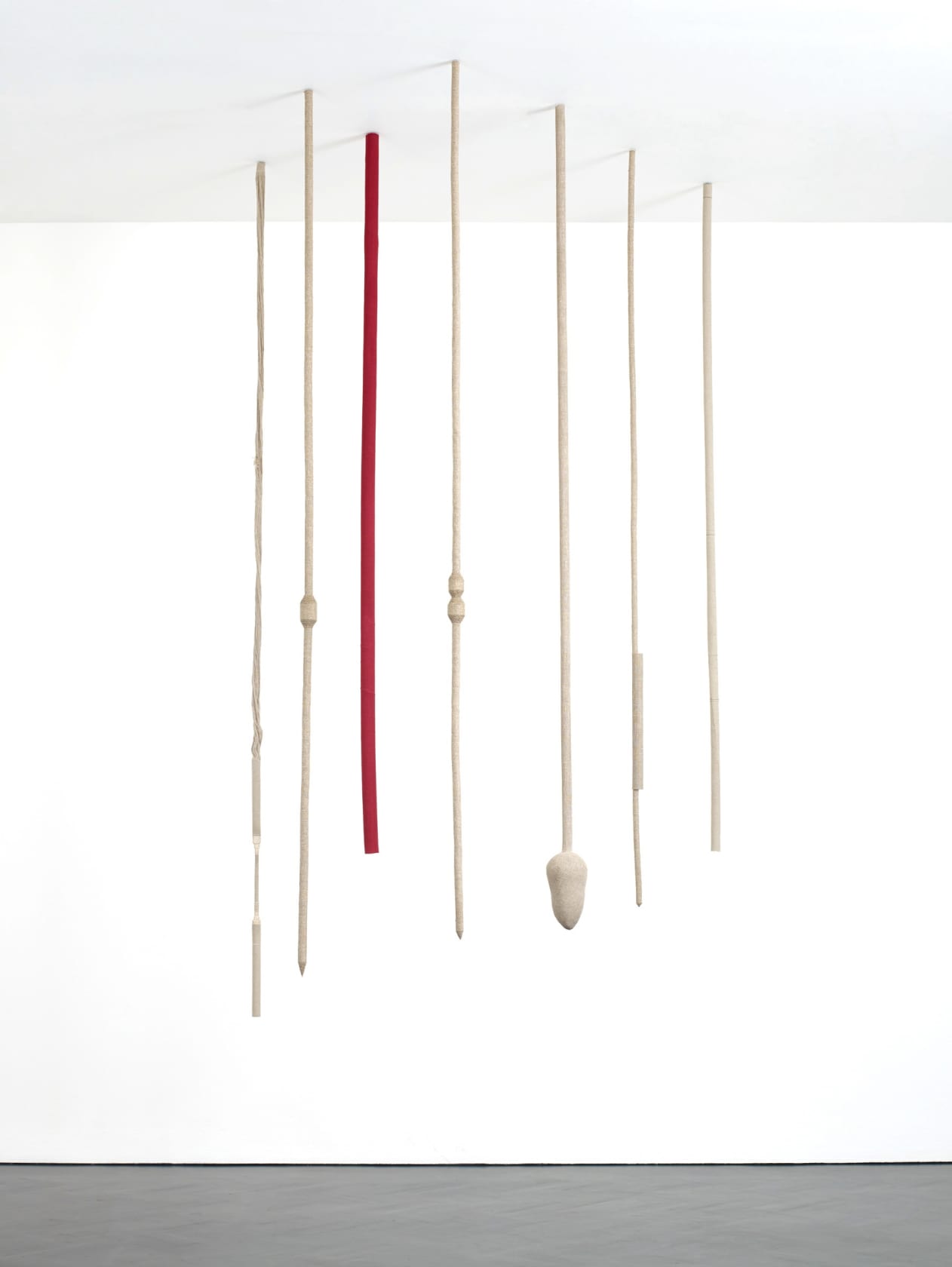 Tonico Lemos Auad, Seven Seahorses, 2013