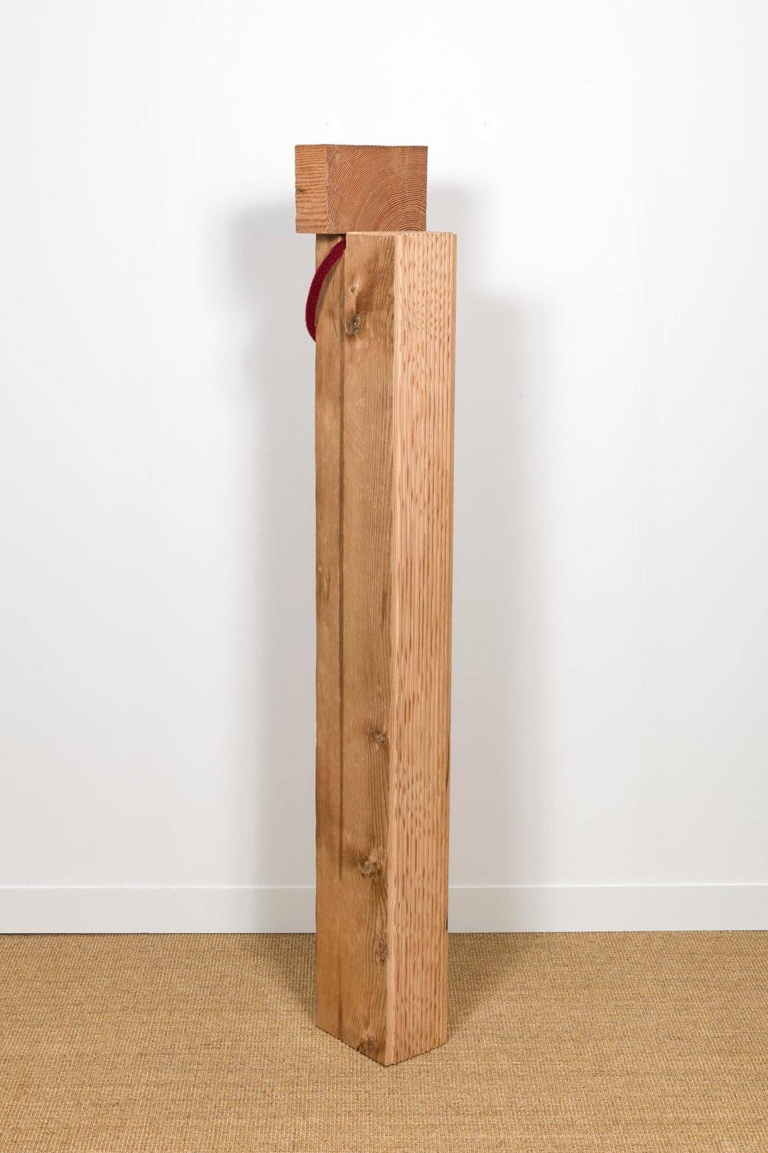Tonico Lemos Auad Red Figure, 2019