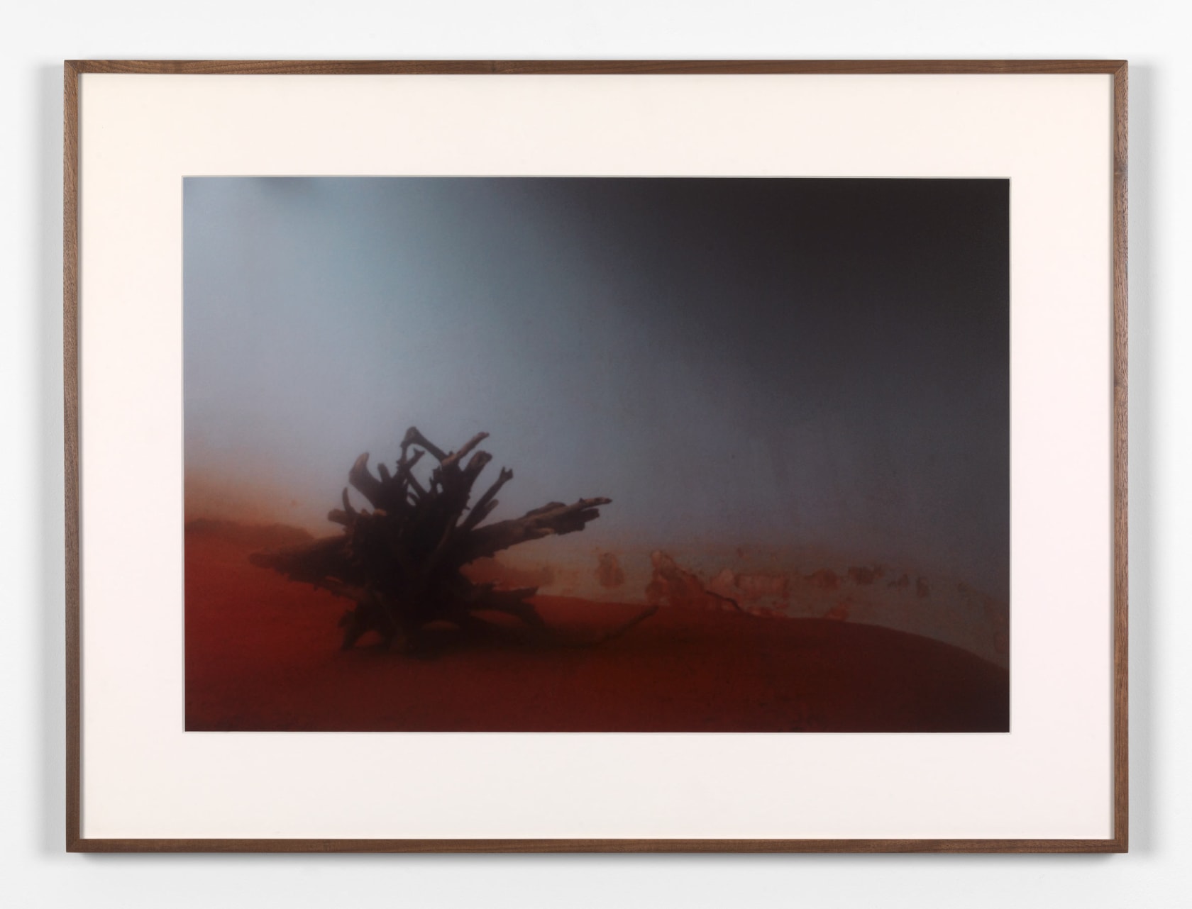 Rivane Neuenschwander, A place not far from here, 2009