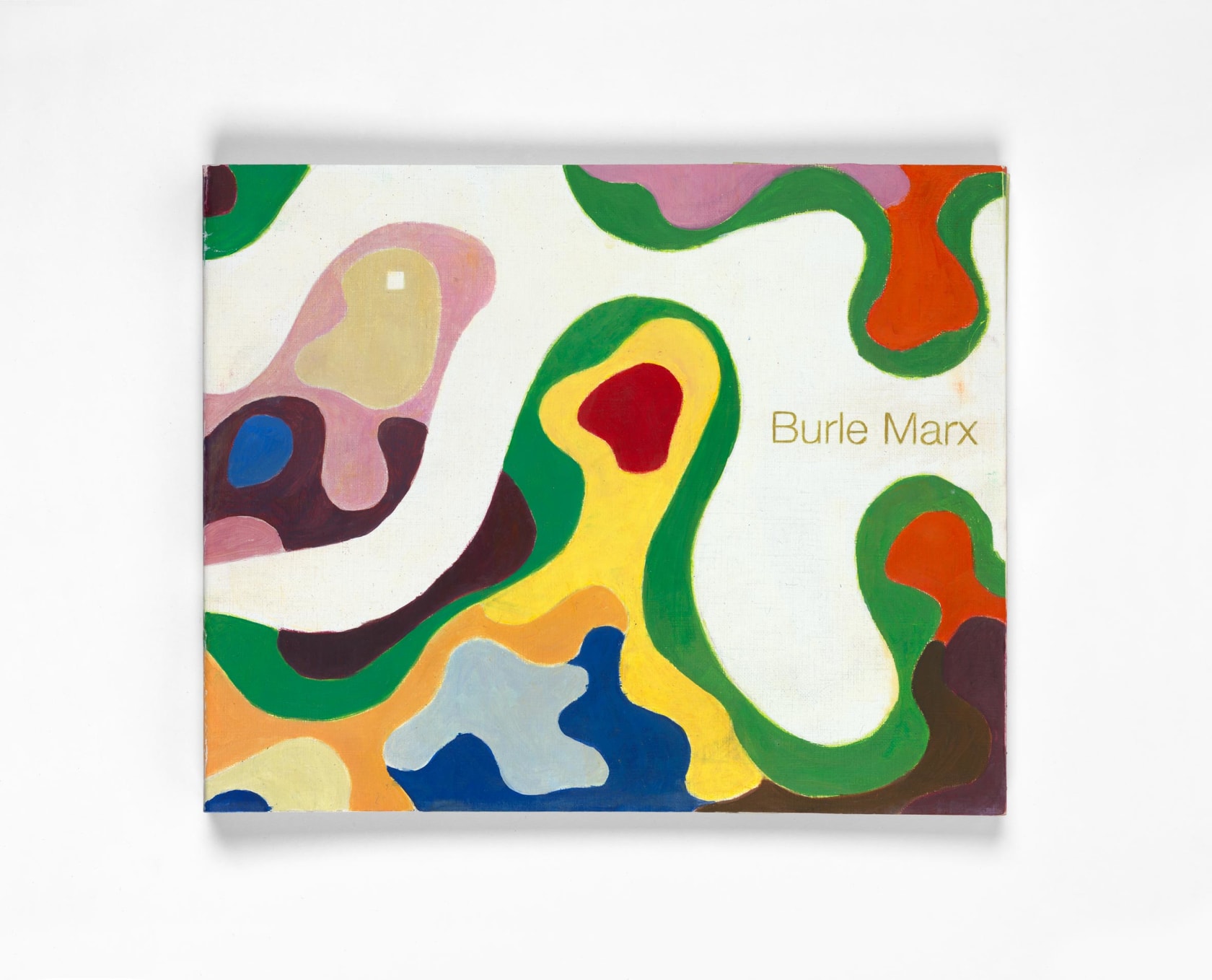 Juan Araujo, Book Cover Burle Marx: el paisaje Lirico, 2015